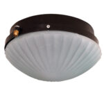 Plafón Chico Base Plástica Vidrio Estrella Satinado 1 Luz - Apto Led (E27)