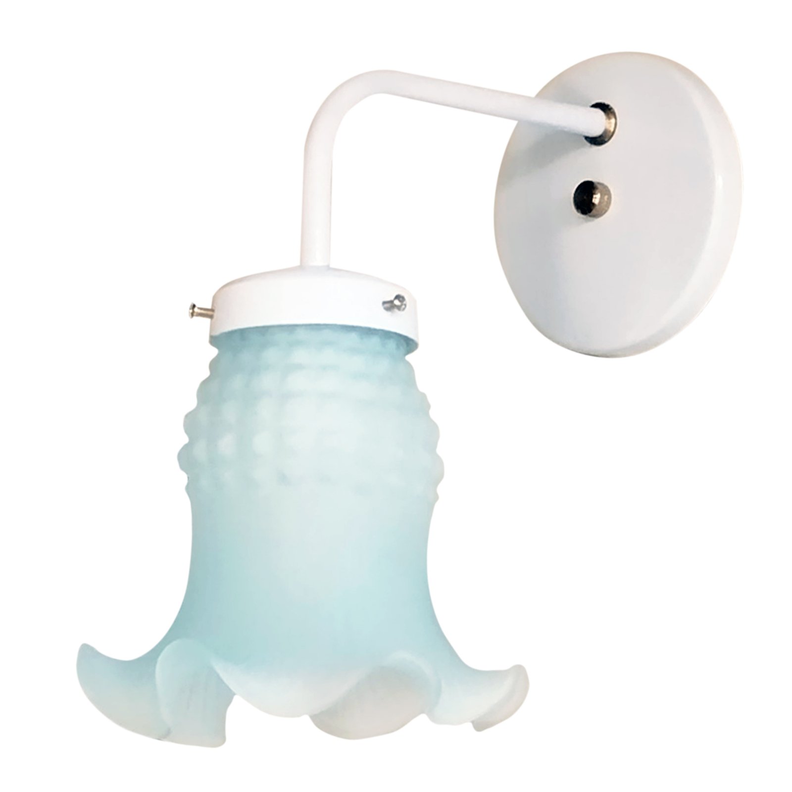 1-Recto1LBlancoTulipaMagui