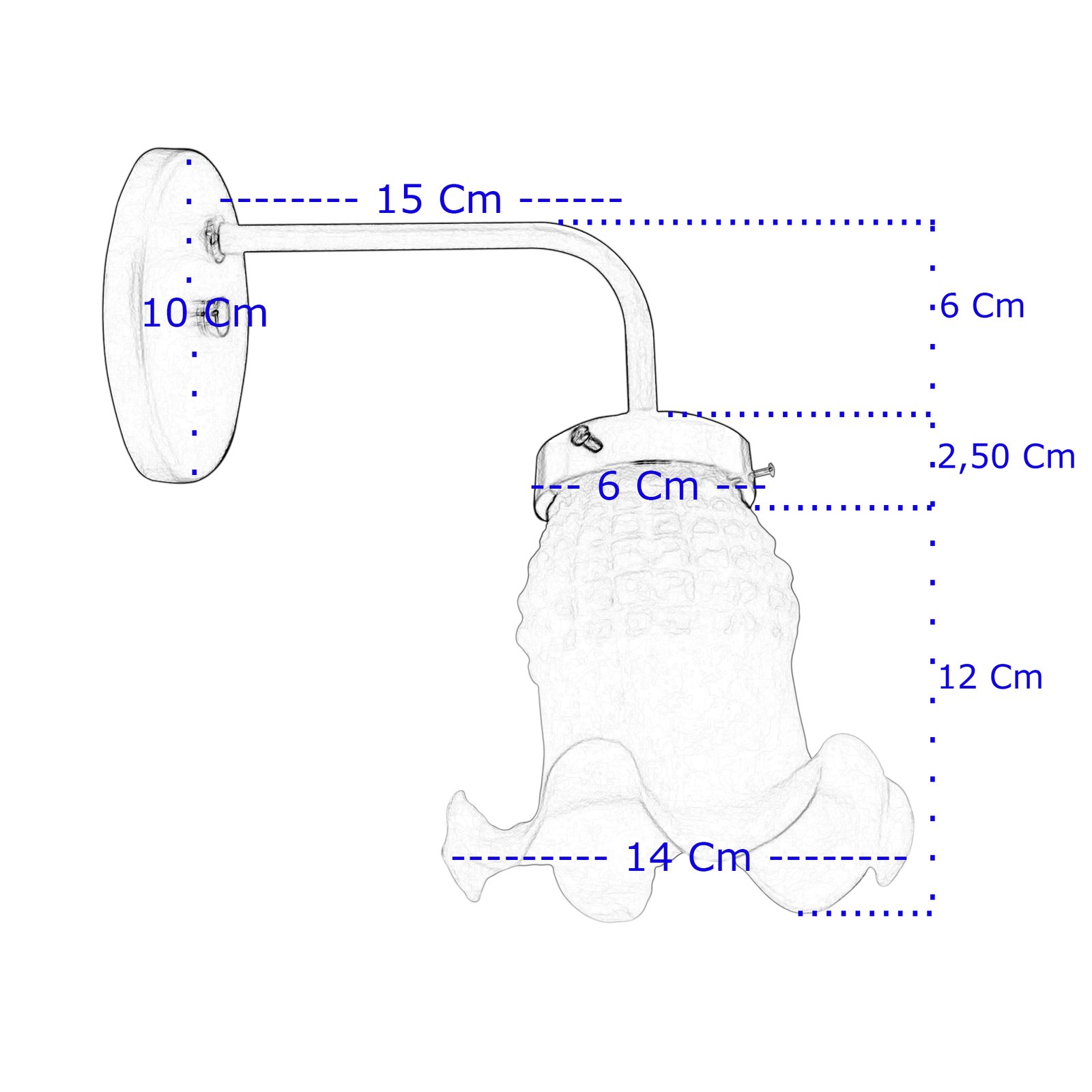 1-Recto1LTulipaMaguiMedidas