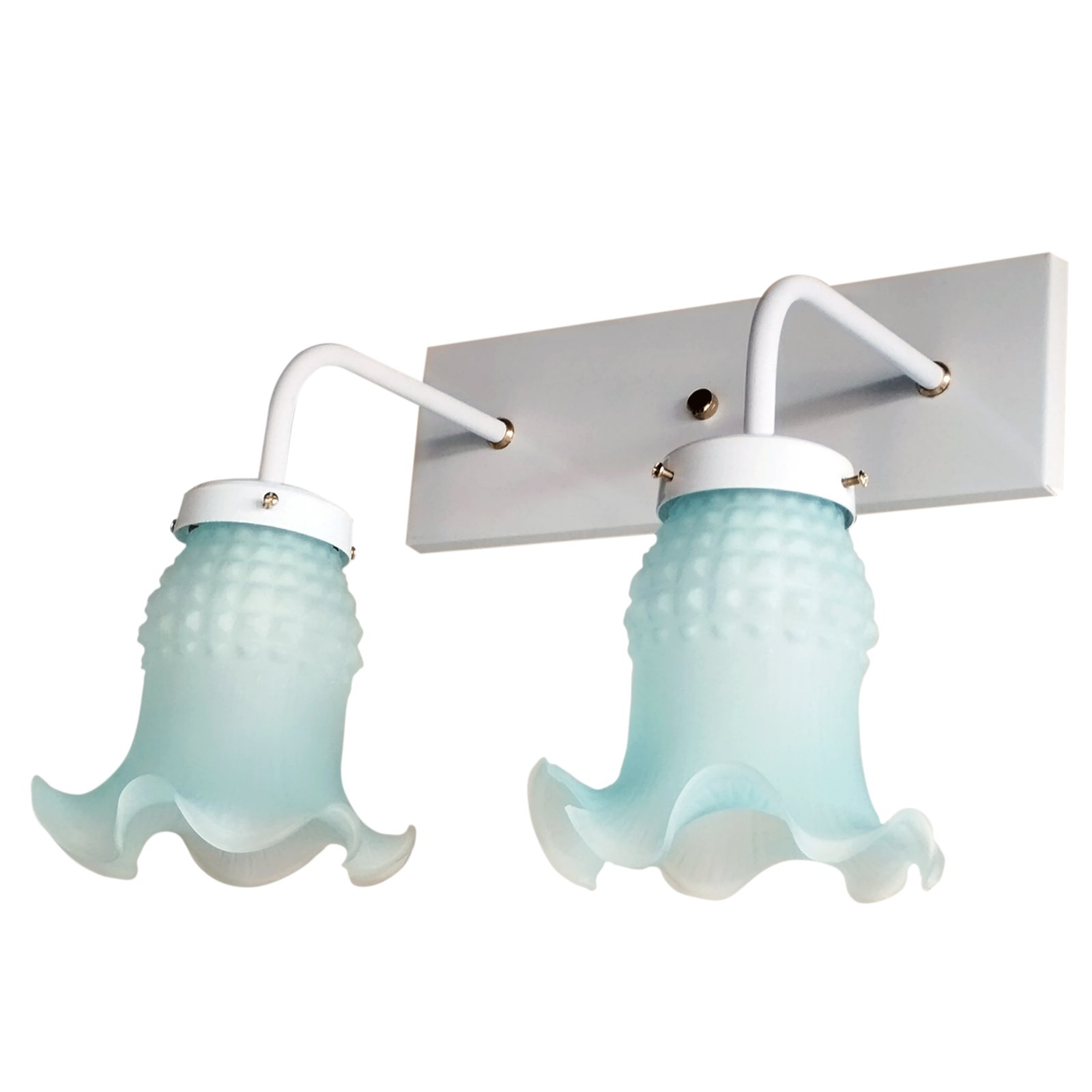 1-Recto2LTulipaMaguiBlanco