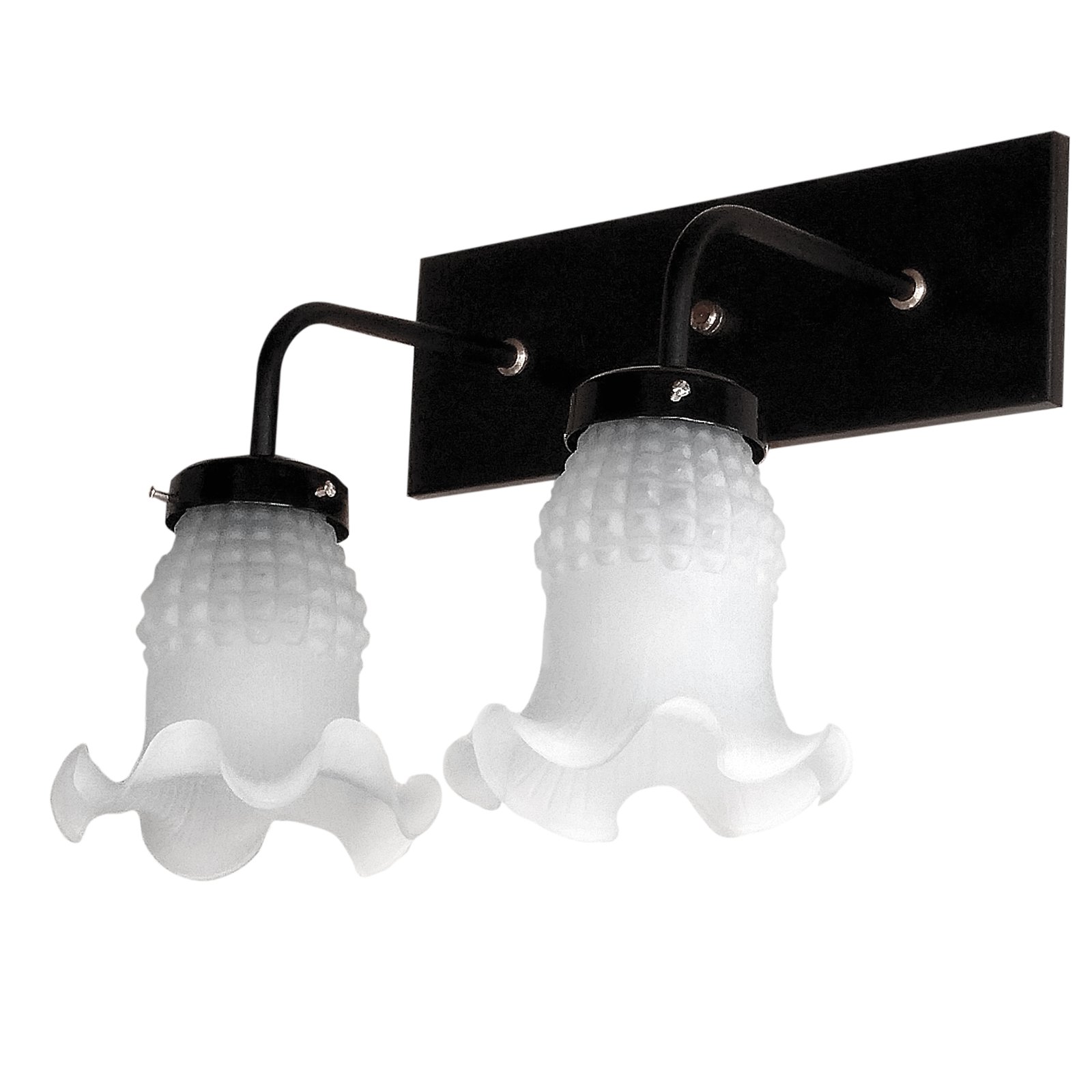 1-Recto2LTulipaMaguiNegro