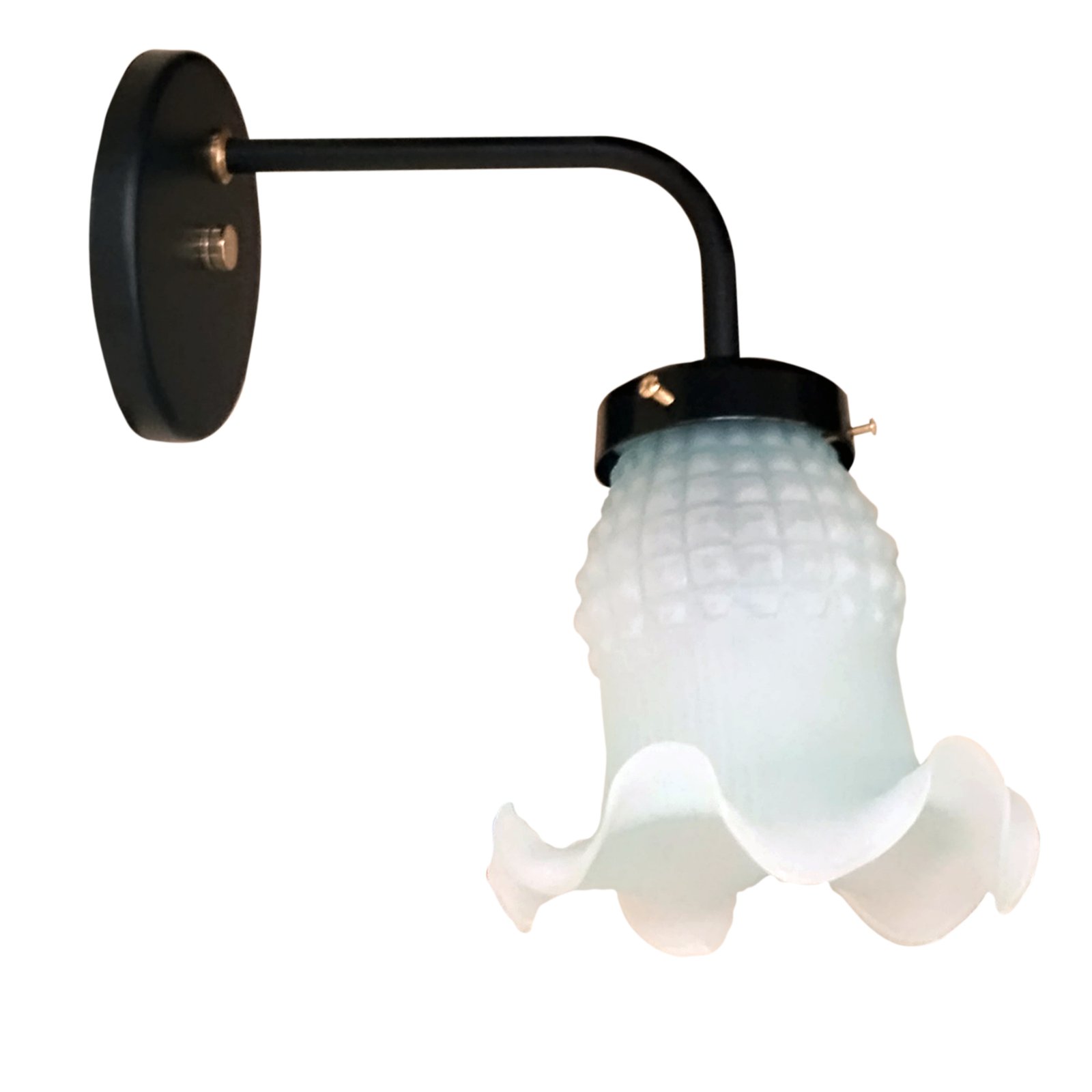 1a-Recto1LNegroTulipaMagui