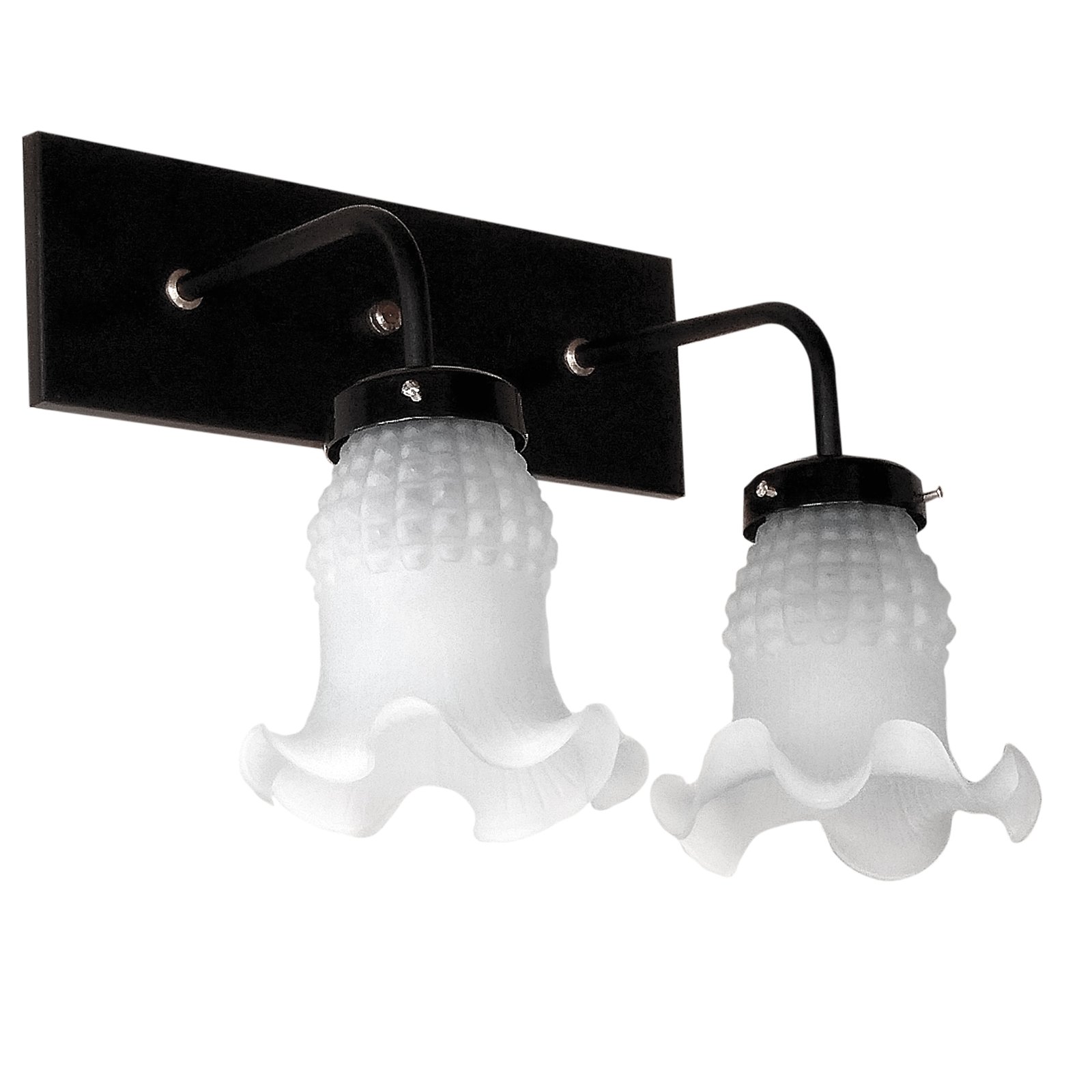 1a-Recto2LTulipaMaguiNegro