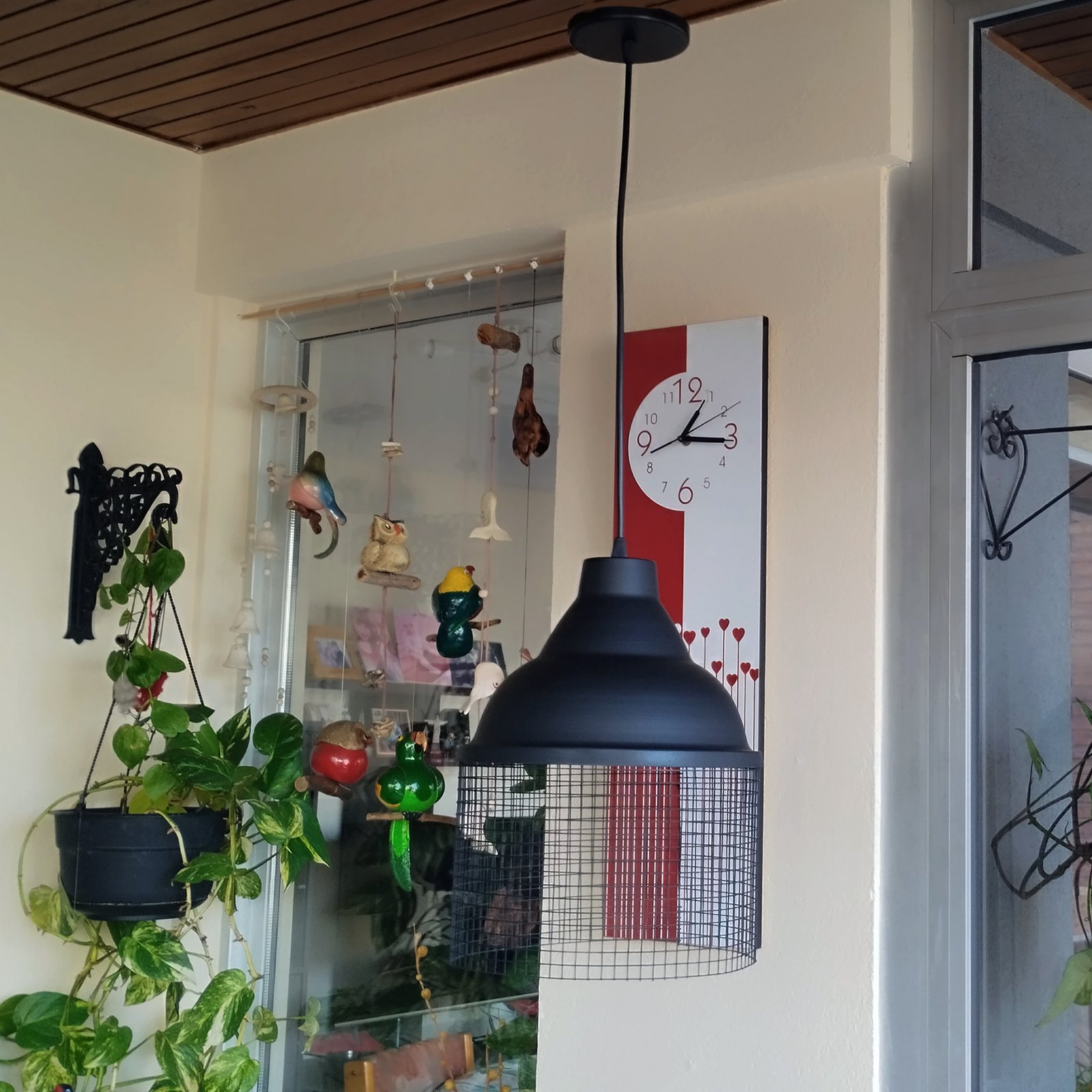 ColganteRejaCampana25Negra3