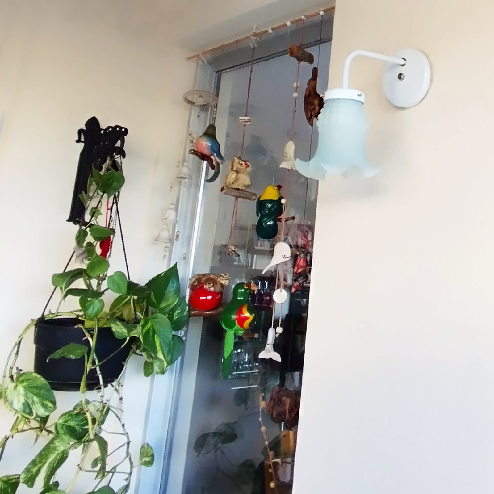 Recto1LBlancoTulipaMagui4