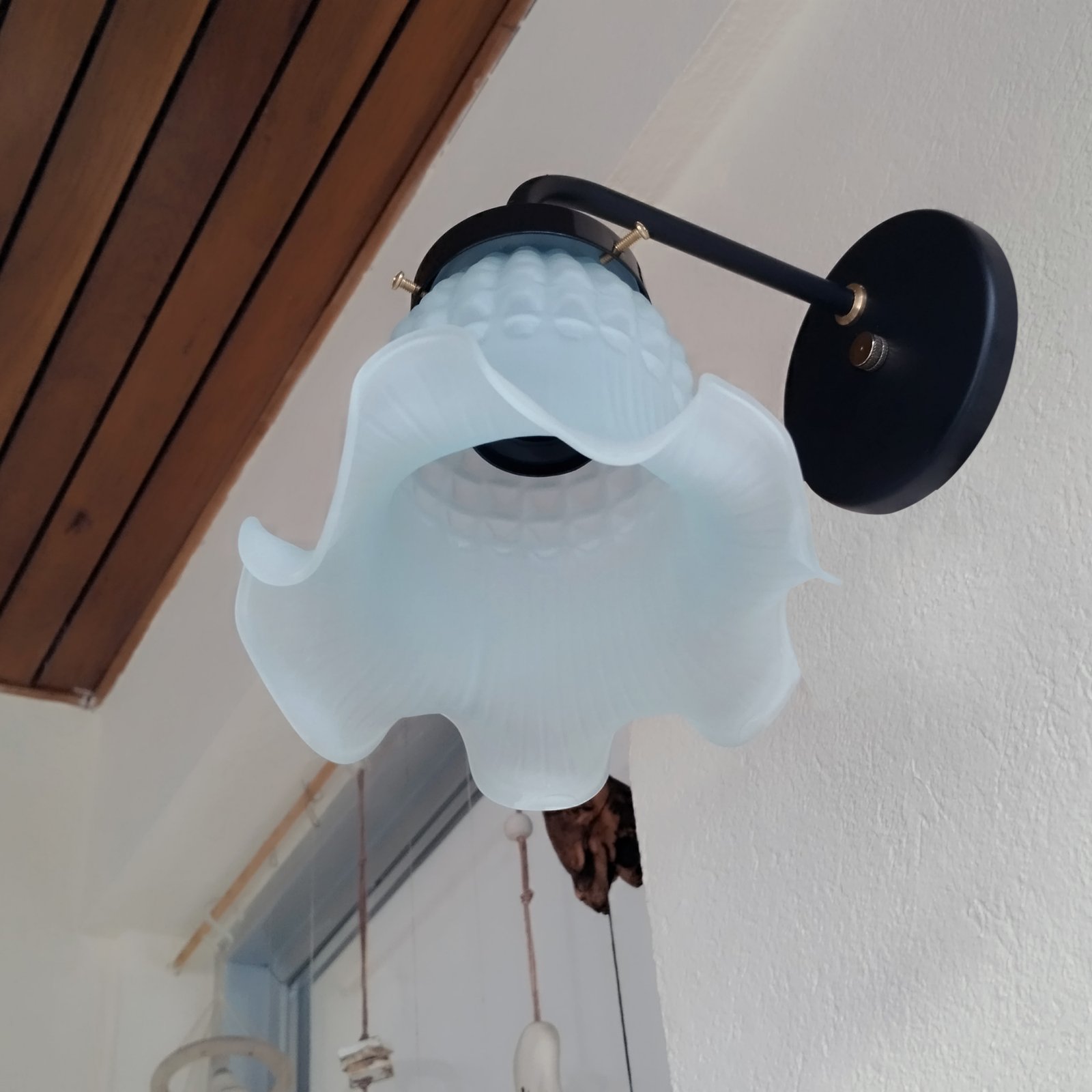 Recto1LNegroTulipaMagui1