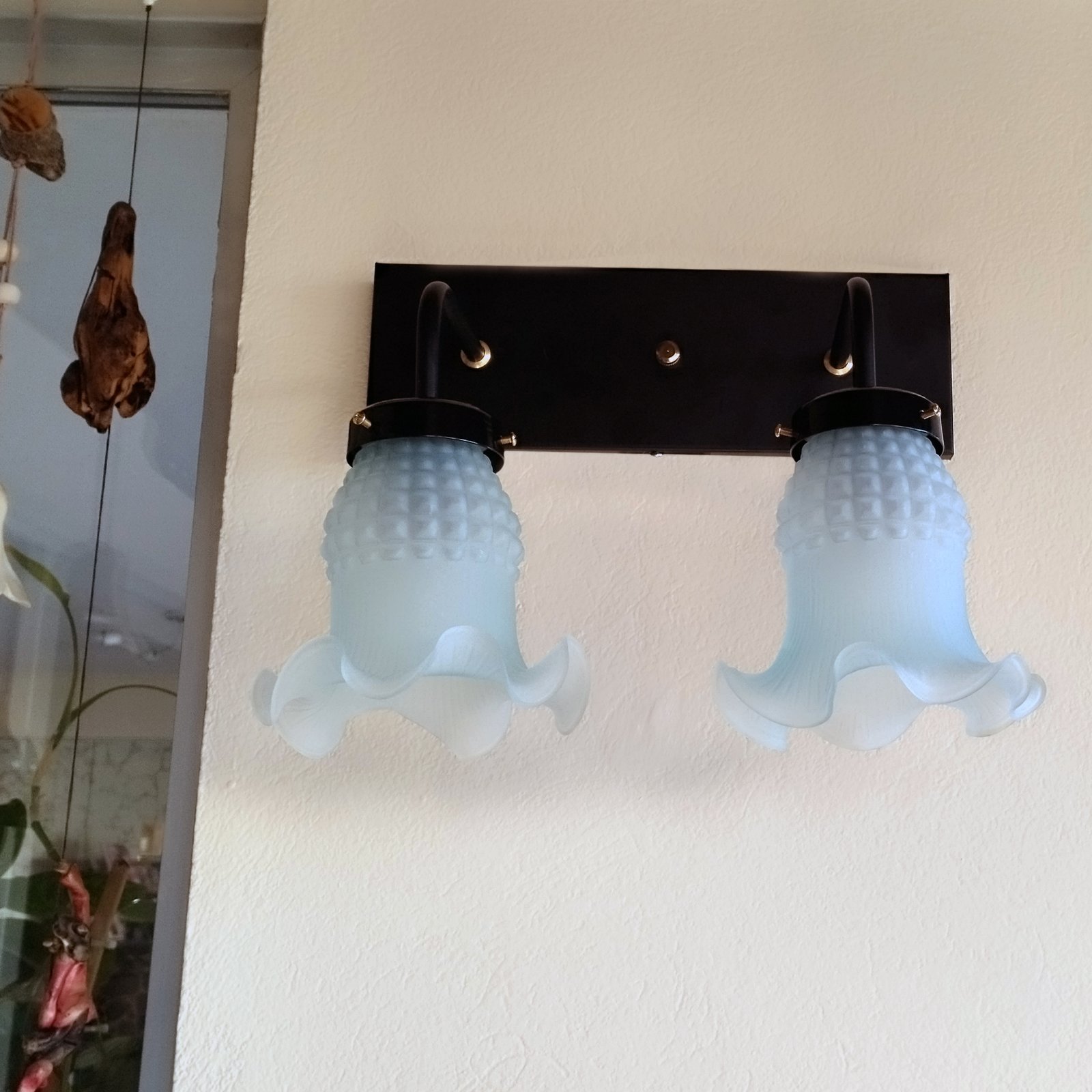 Recto2LTulipaMaguiNegro