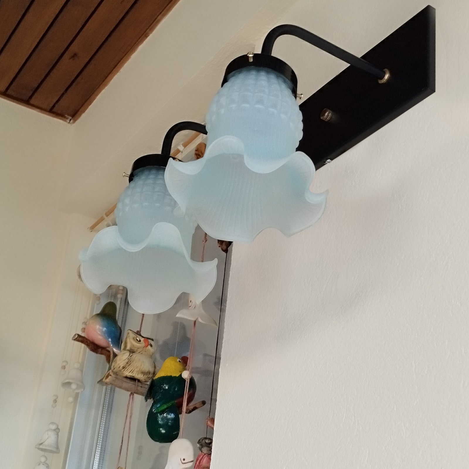 Recto2LTulipaMaguiNegro3