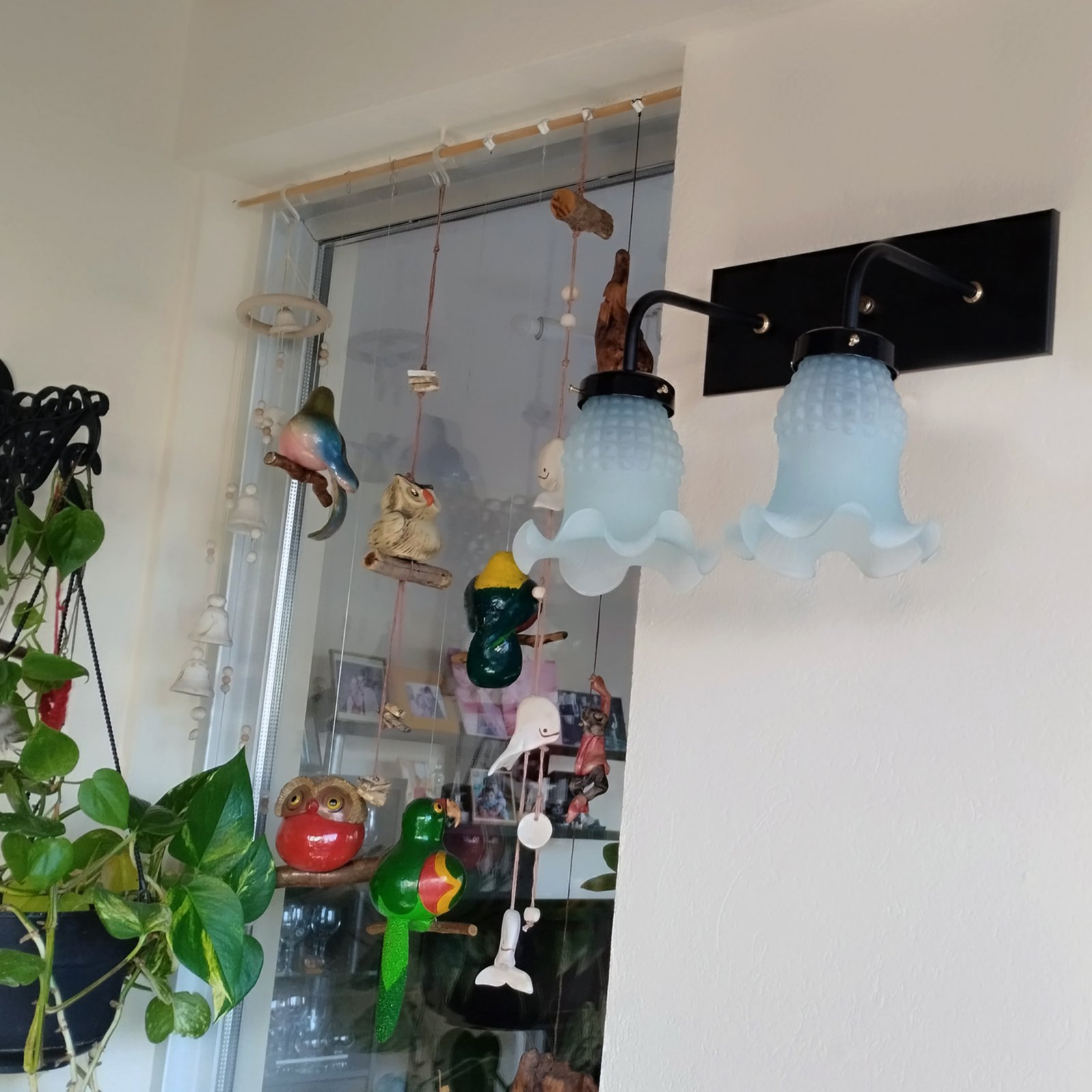 Recto2LTulipaMaguiNegro4