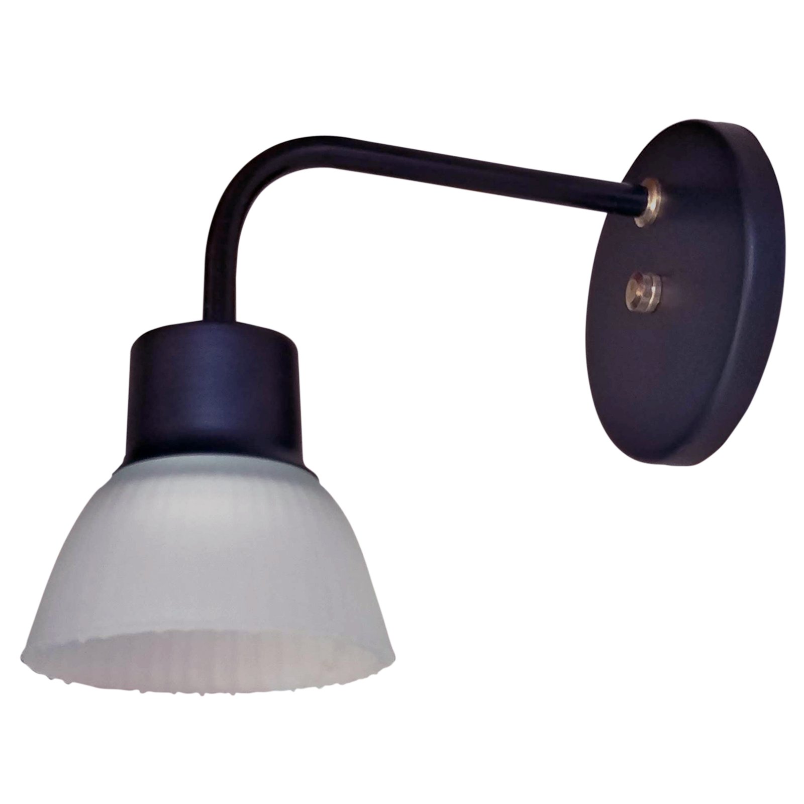 1-RectoTulipa1LNegroFB