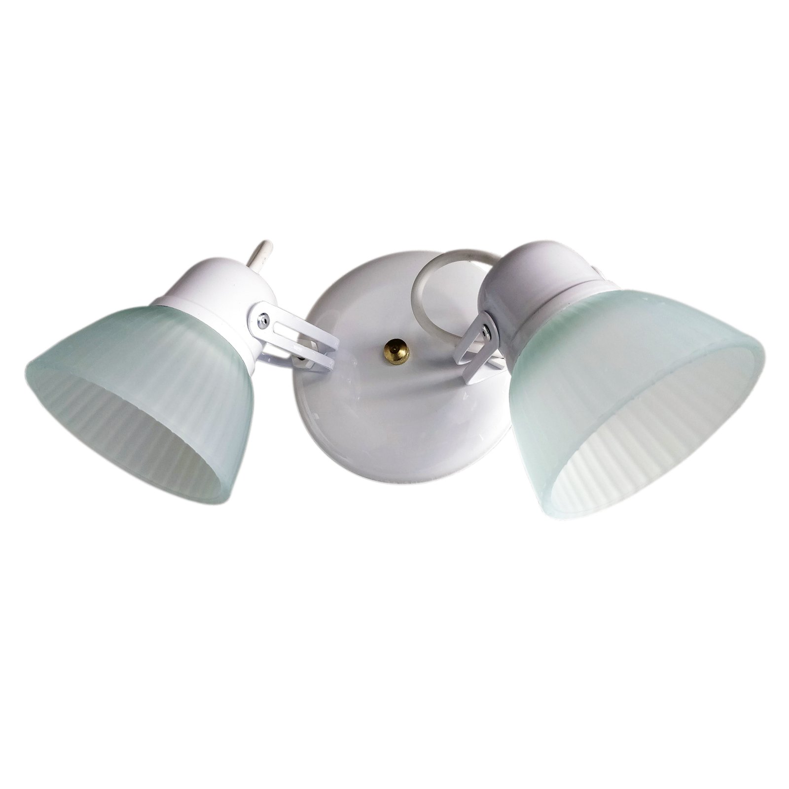 1-Tulipa2LBlancoBaseRedondaFondoBlanco