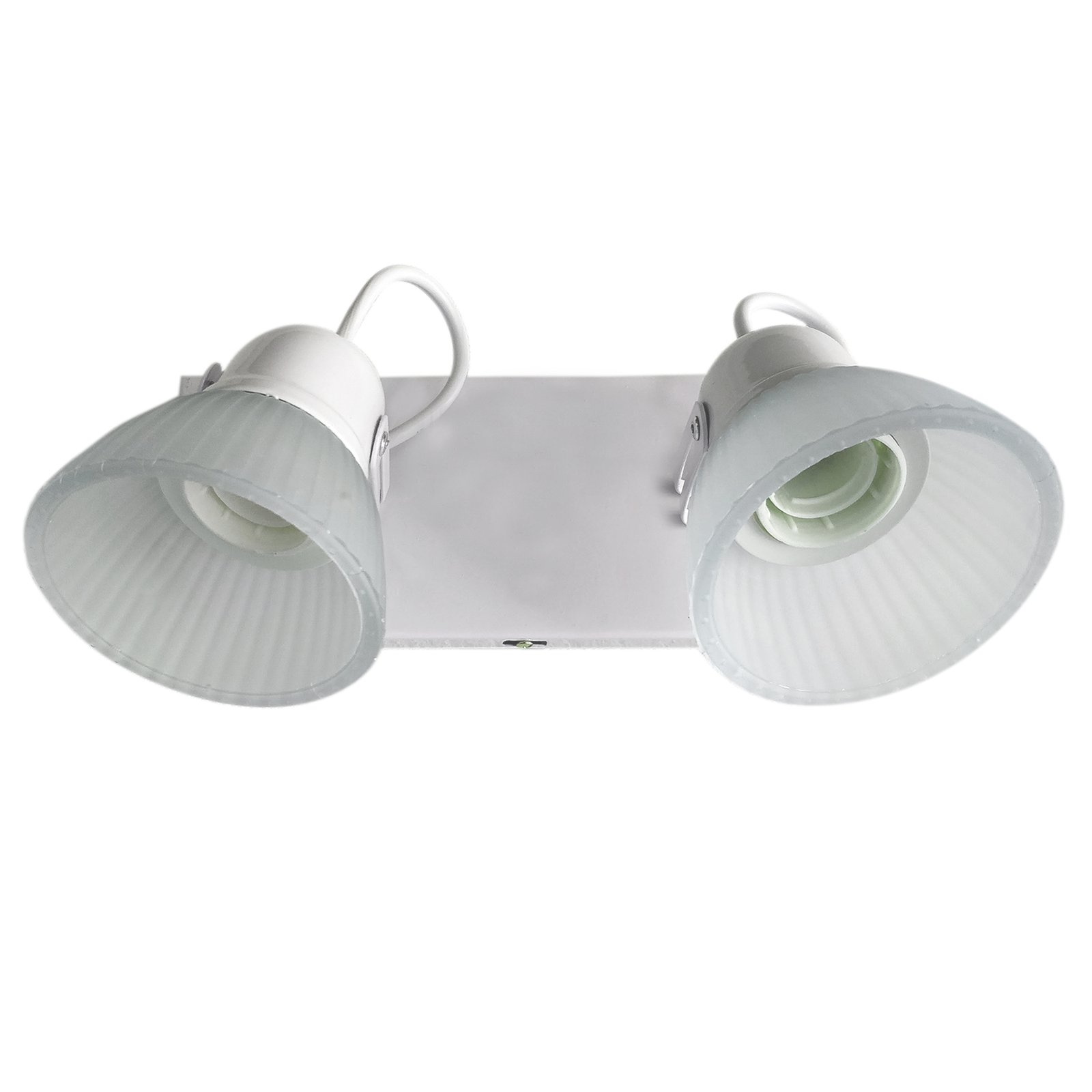 1-Tulipa2LBlancoFondoBlanco