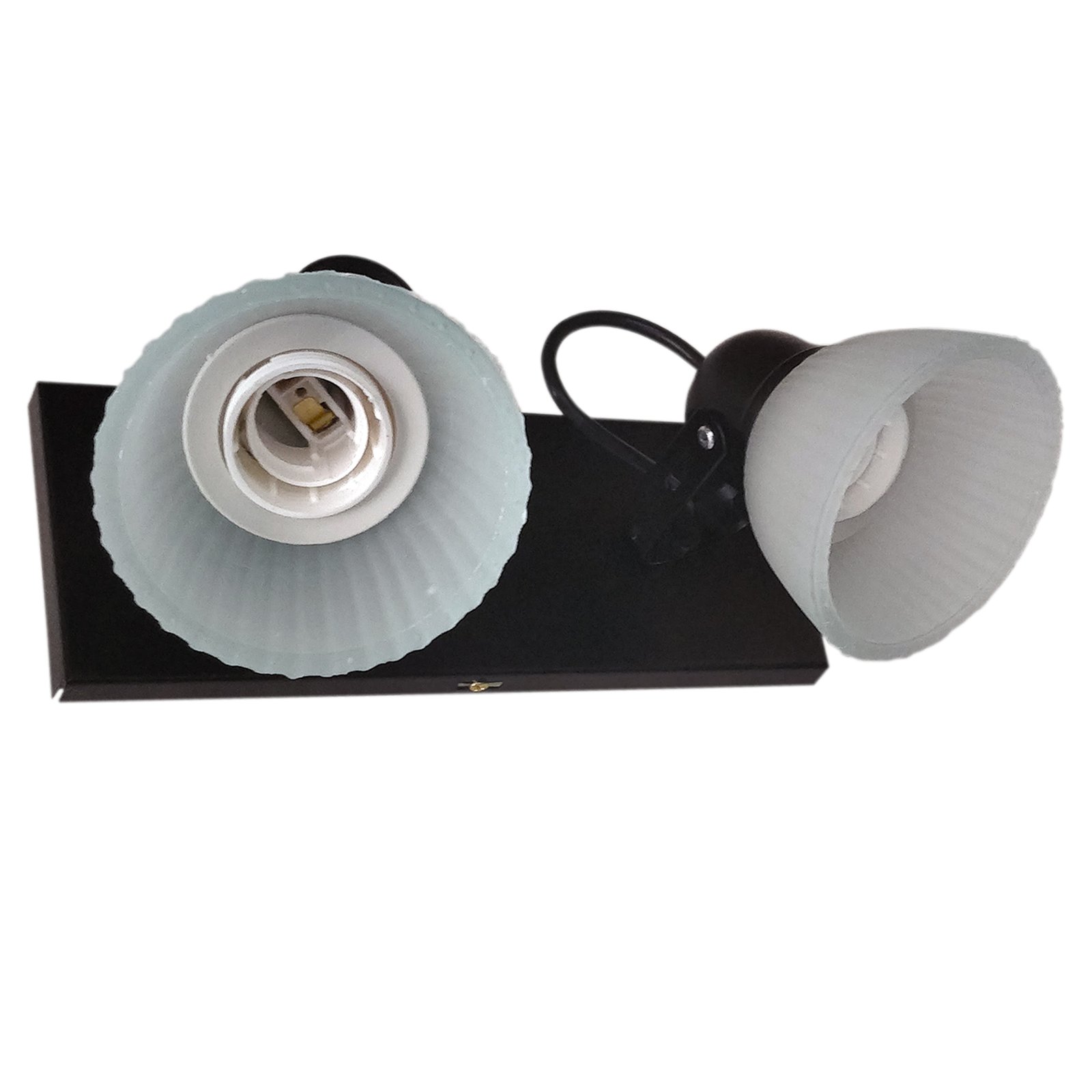 1a-Tulipa2LNegroFondoBlanco