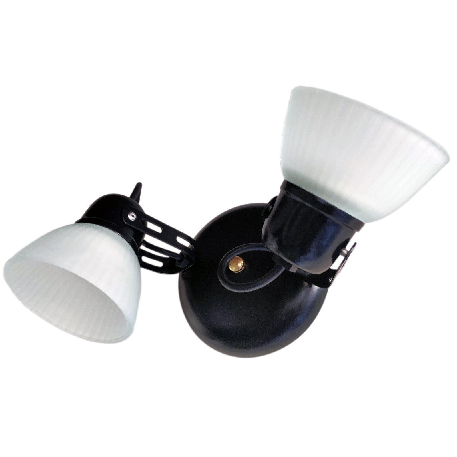 1b-Tulipa2LNegroBaseRedondaFB