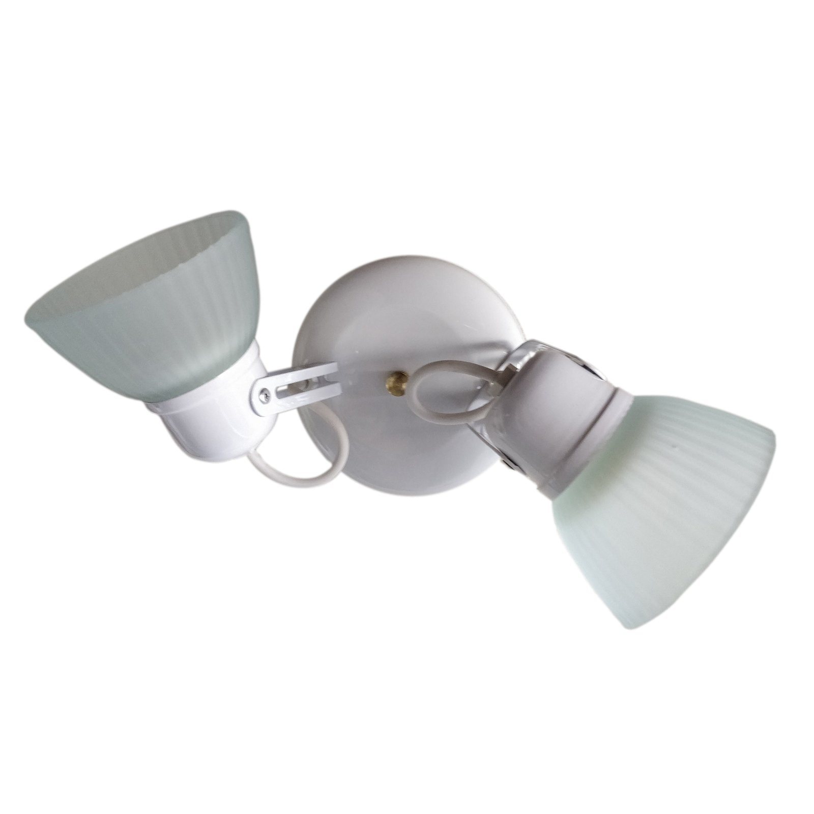 1c-Tulipa2LBlancoBaseRedondaFondoBlanco