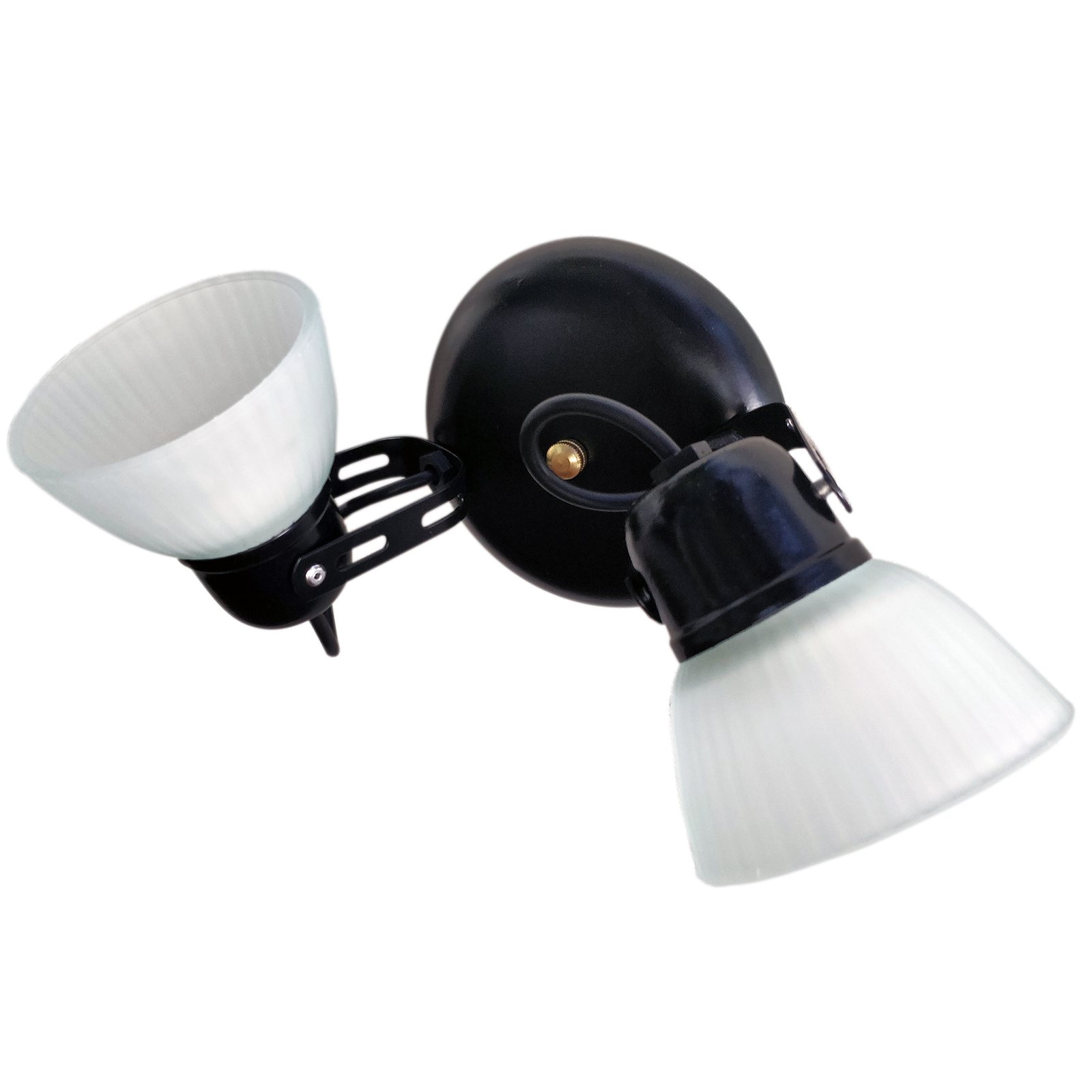 1c-Tulipa2LNegroBaseRedondaFB