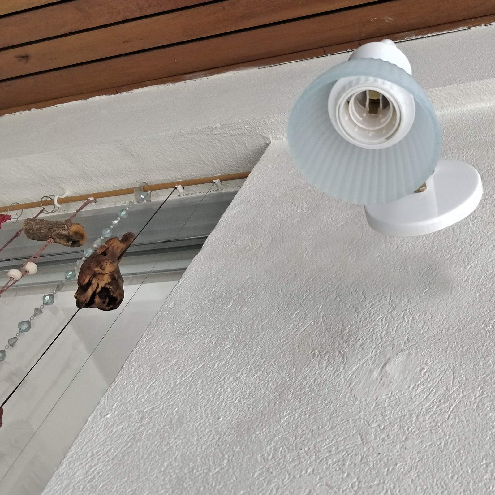 RectoTulipa1LBlanco1