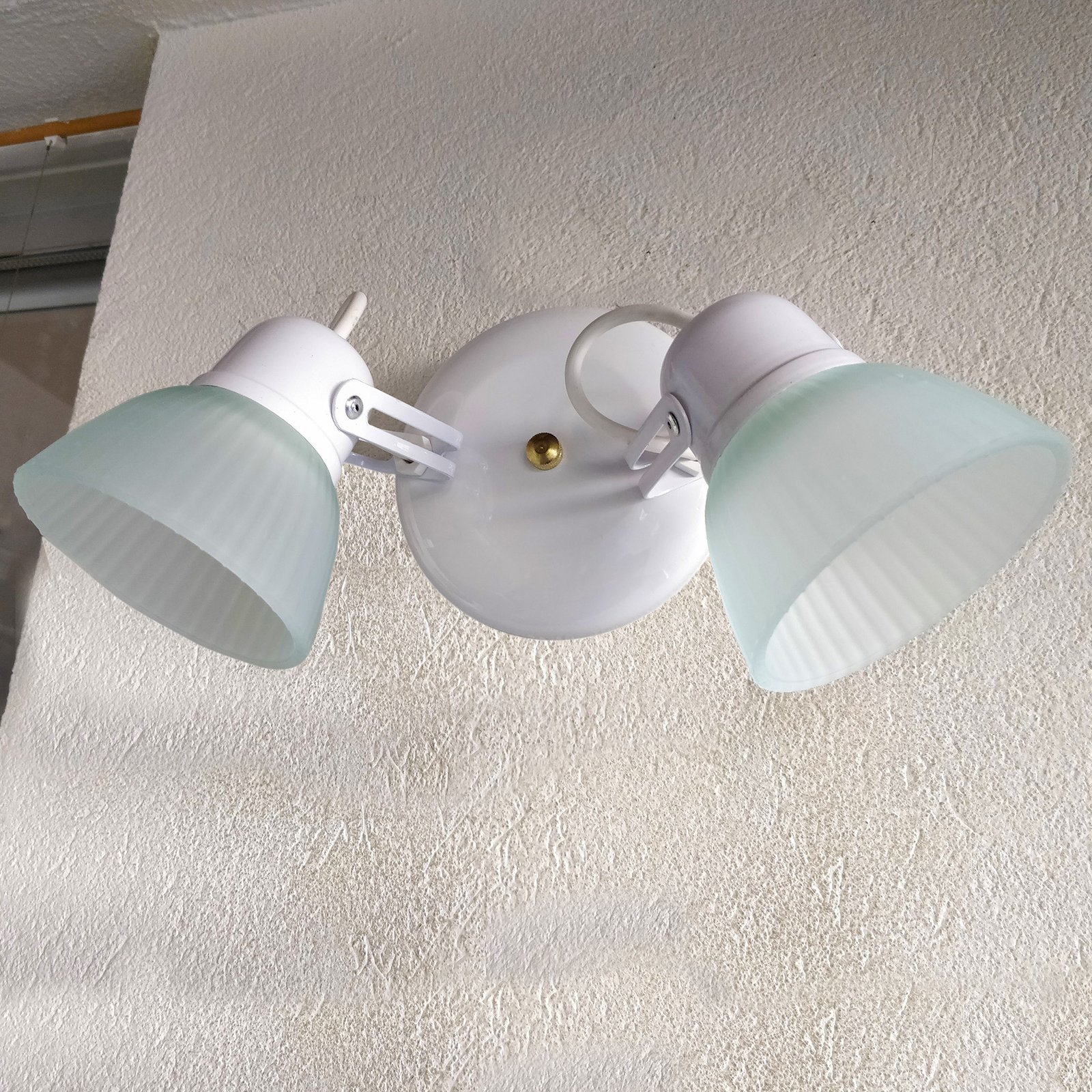 Tulipa2LBlancoBaseRedonda