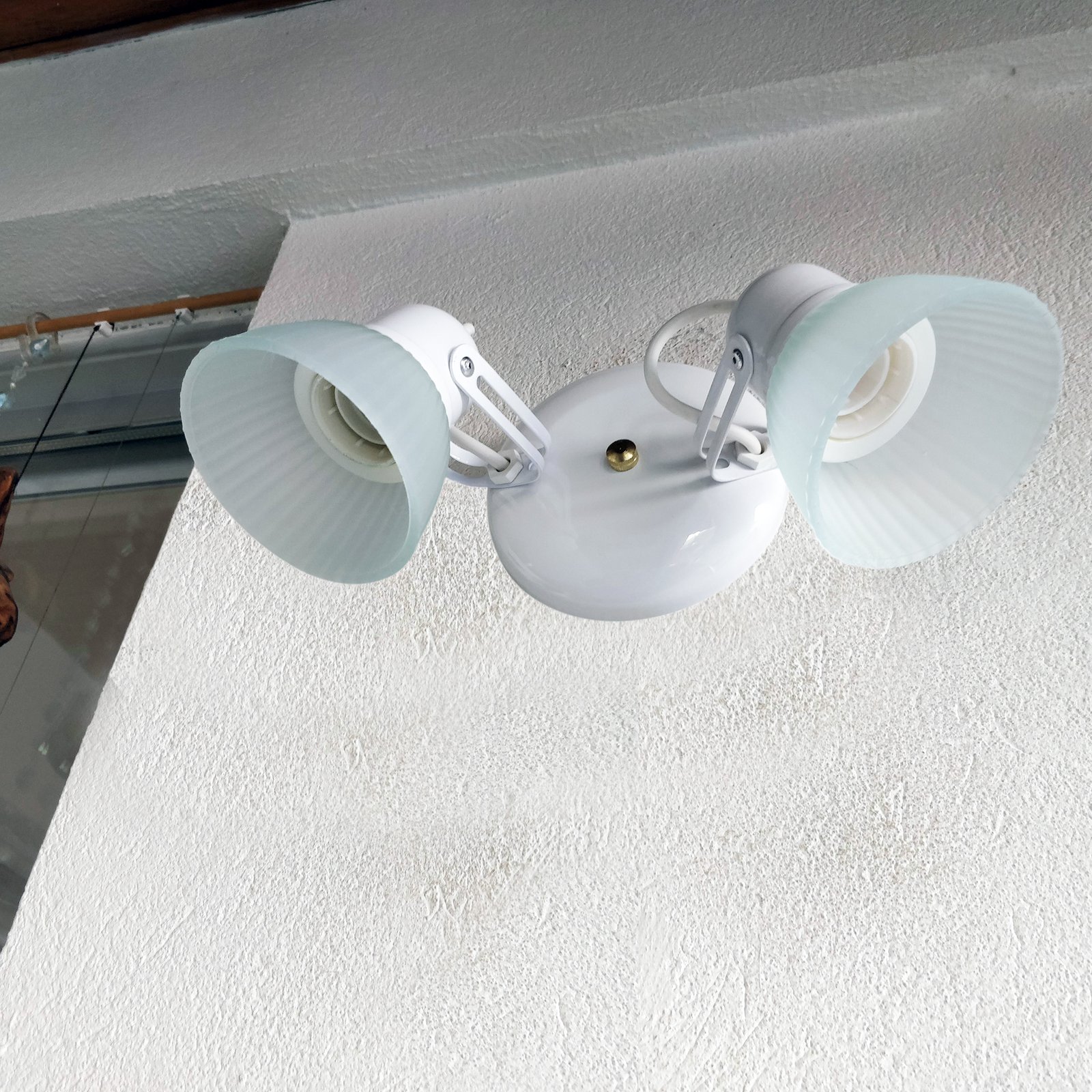 Tulipa2LBlancoBaseRedonda1