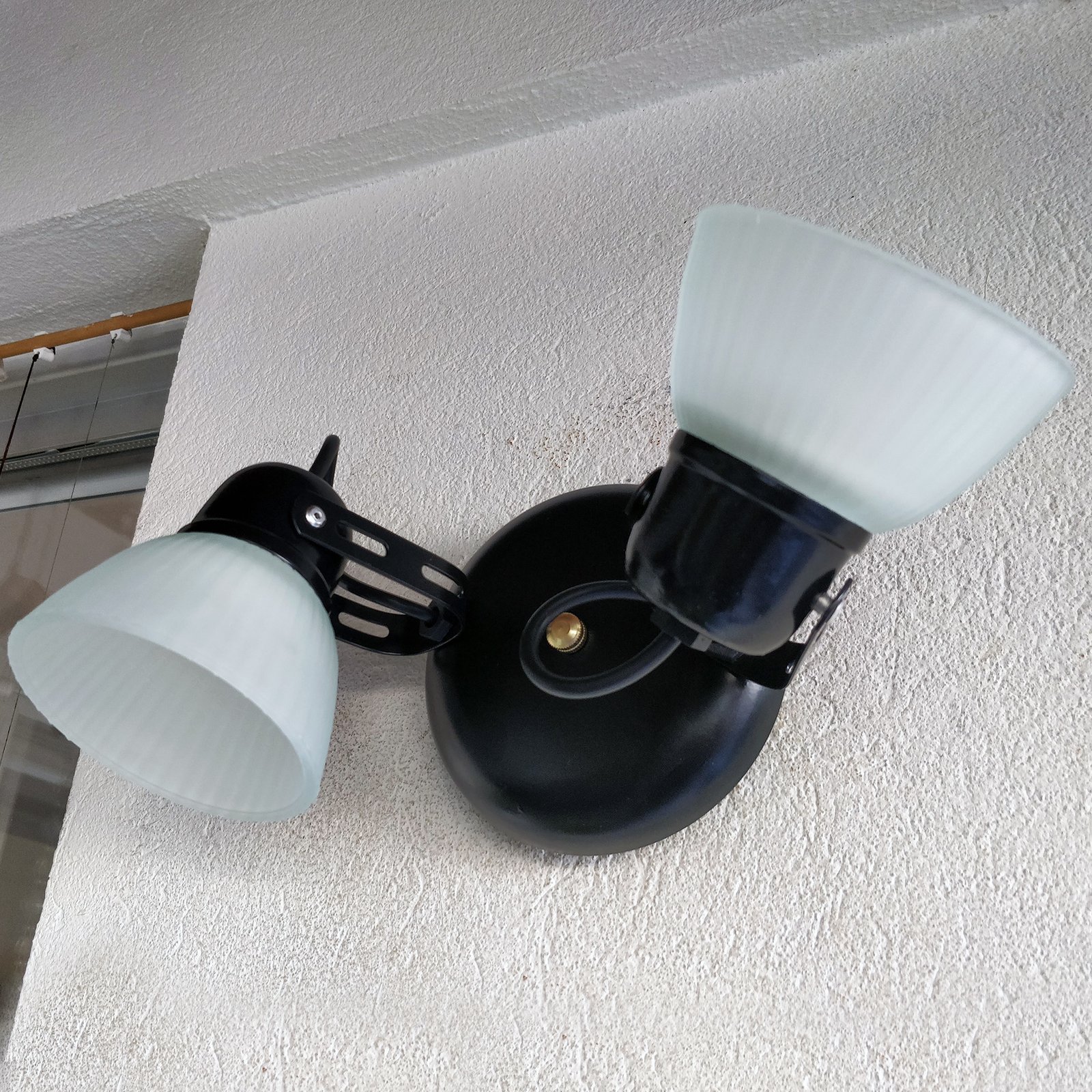 Tulipa2LNegroBaseRedonda2