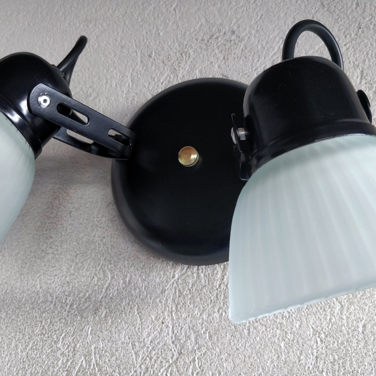 Tulipa2LNegroBaseRedonda3