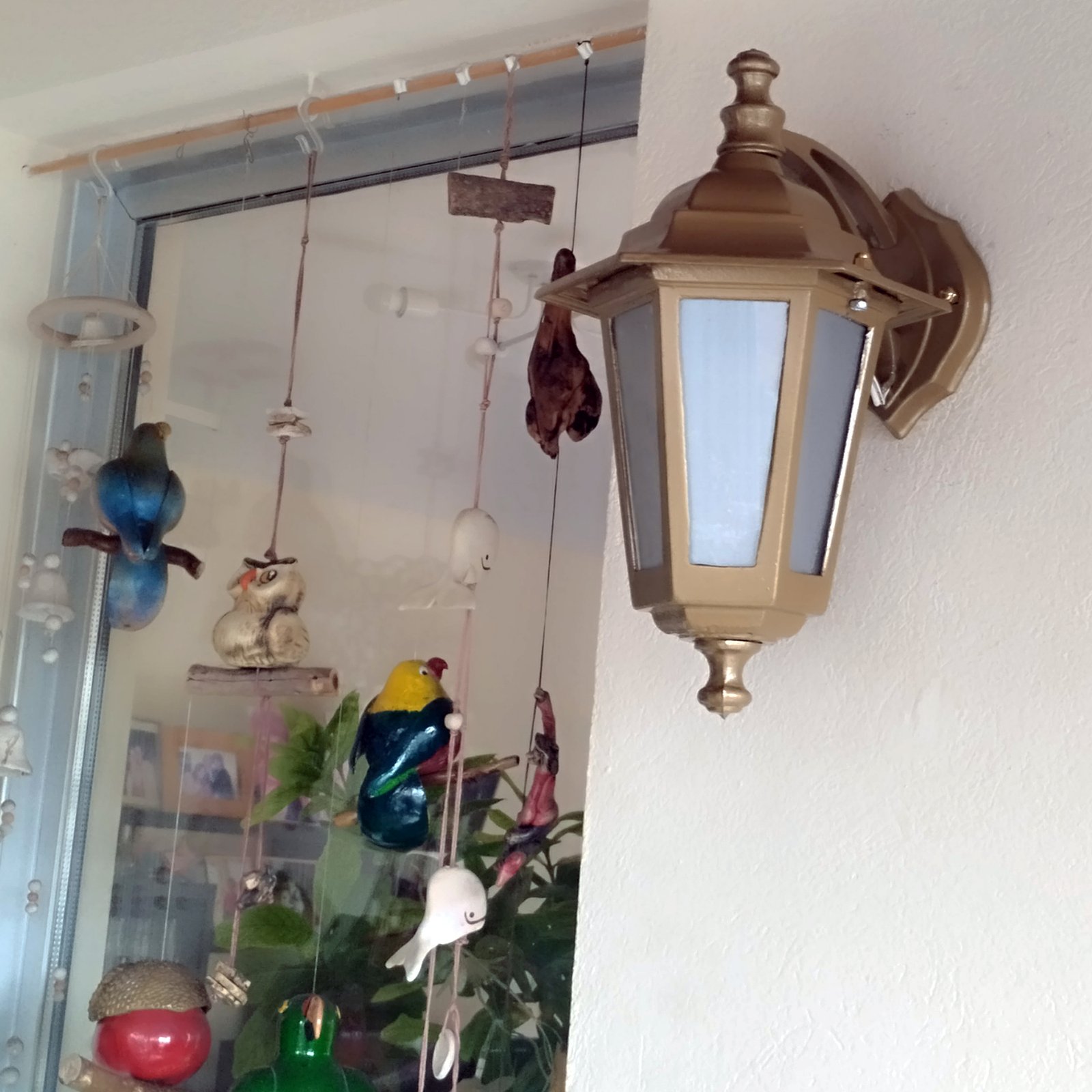 6CarasChicoMSSATDorado