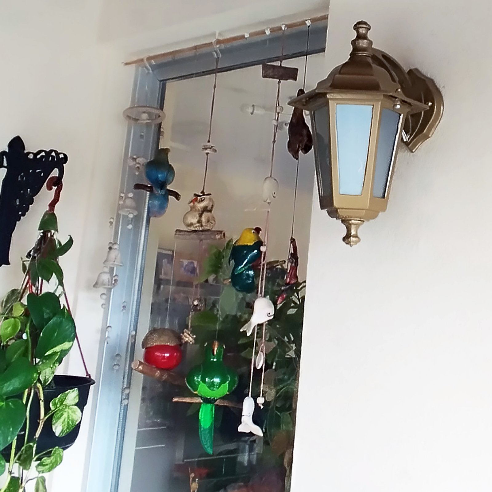 6CarasChicoMSSATDorado2