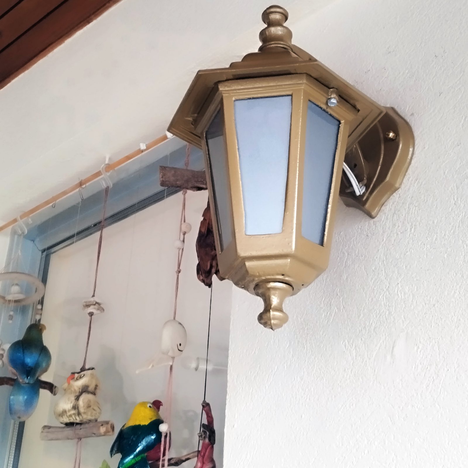 6CarasChicoMSSATDorado3