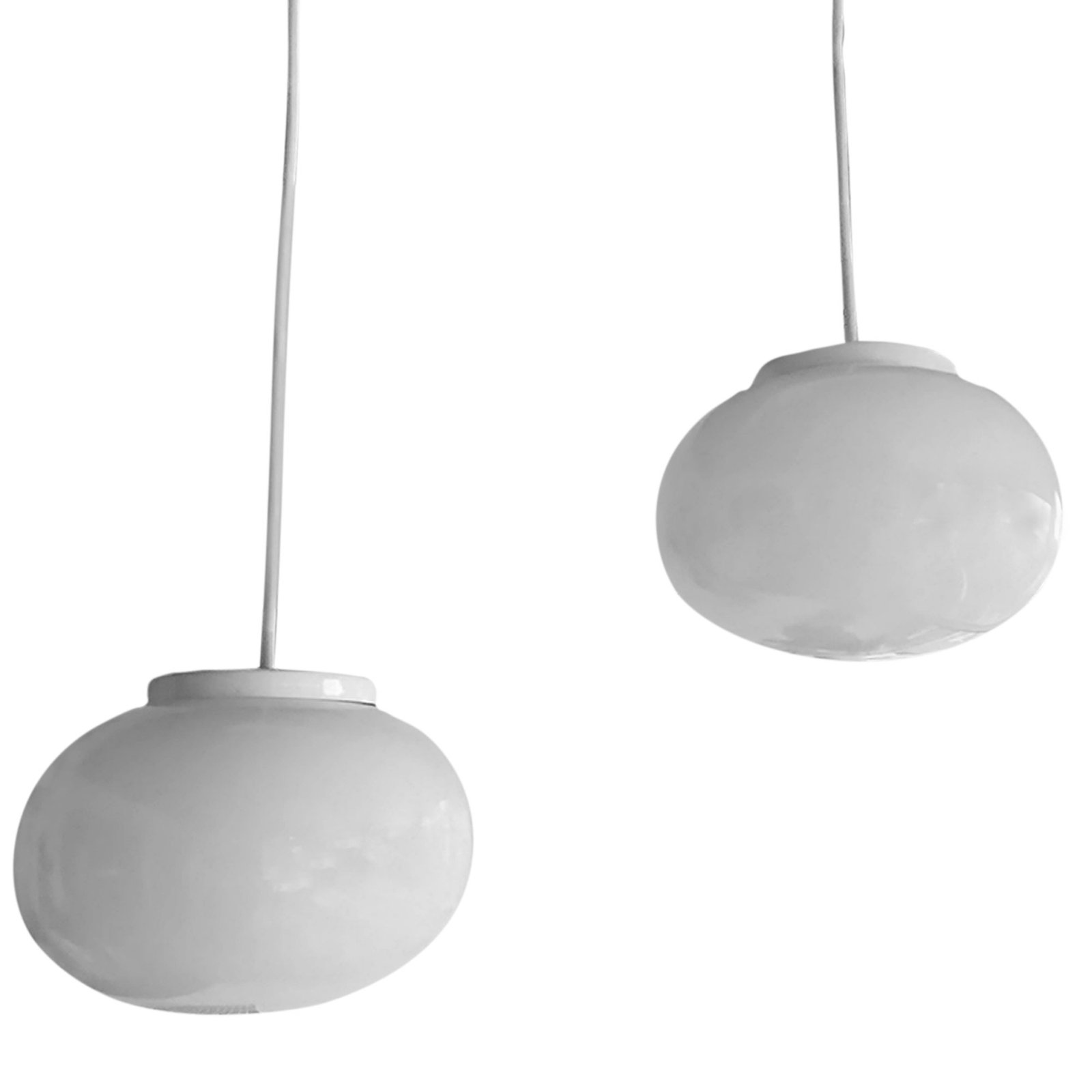 1a-ColganteHonguito2LB