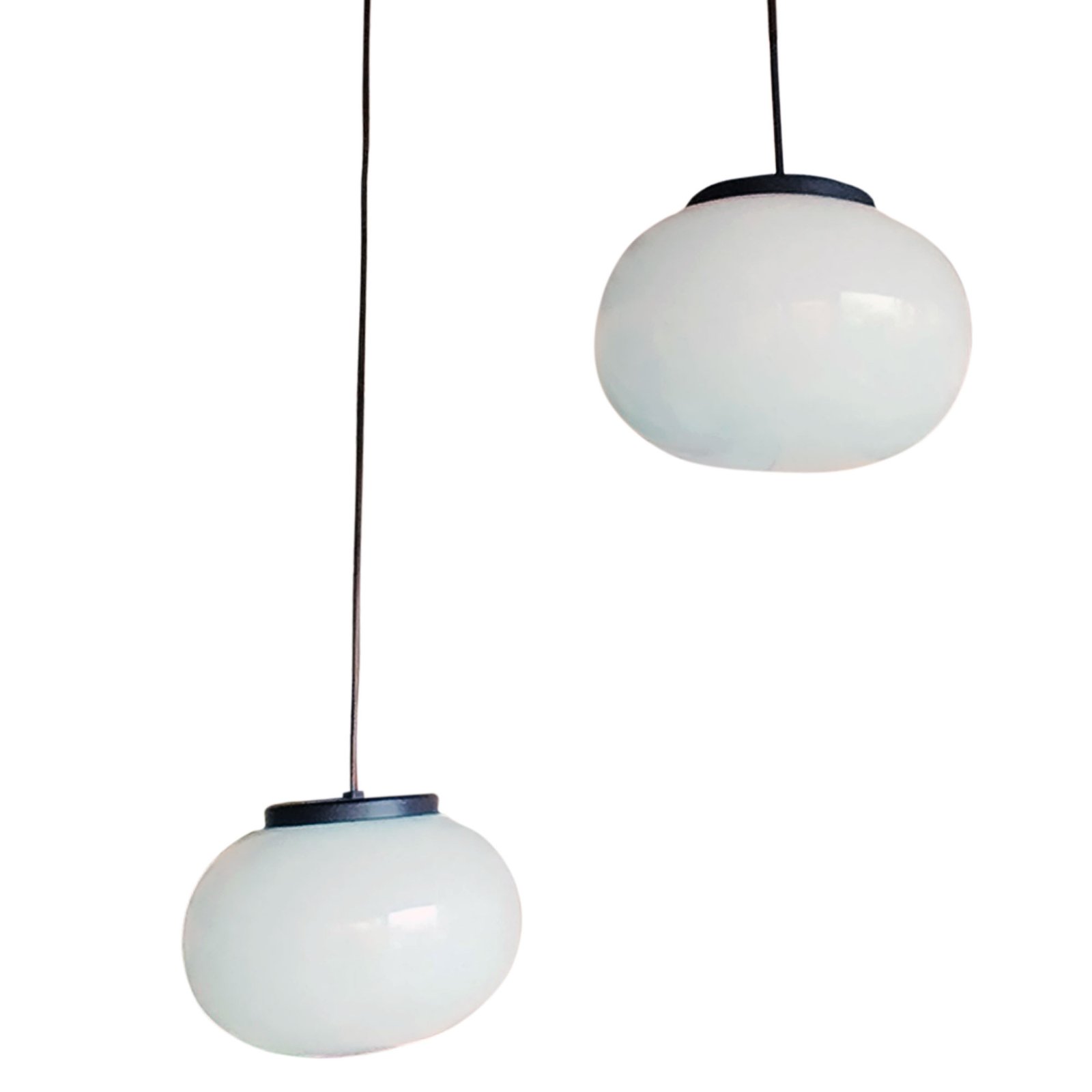 1a-ColganteHonguito2LN