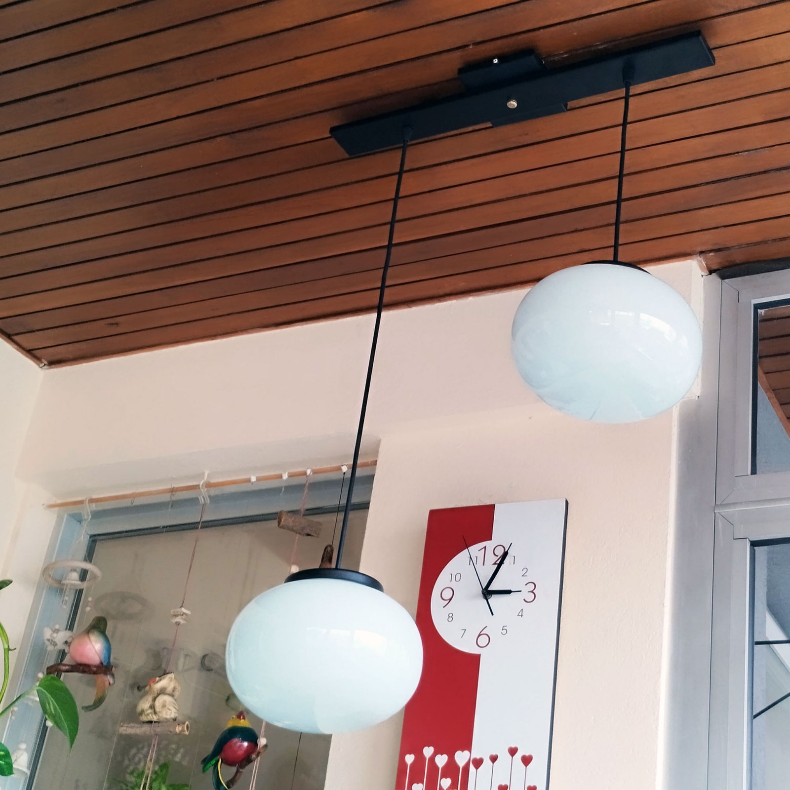 ColganteHonguito2LN6