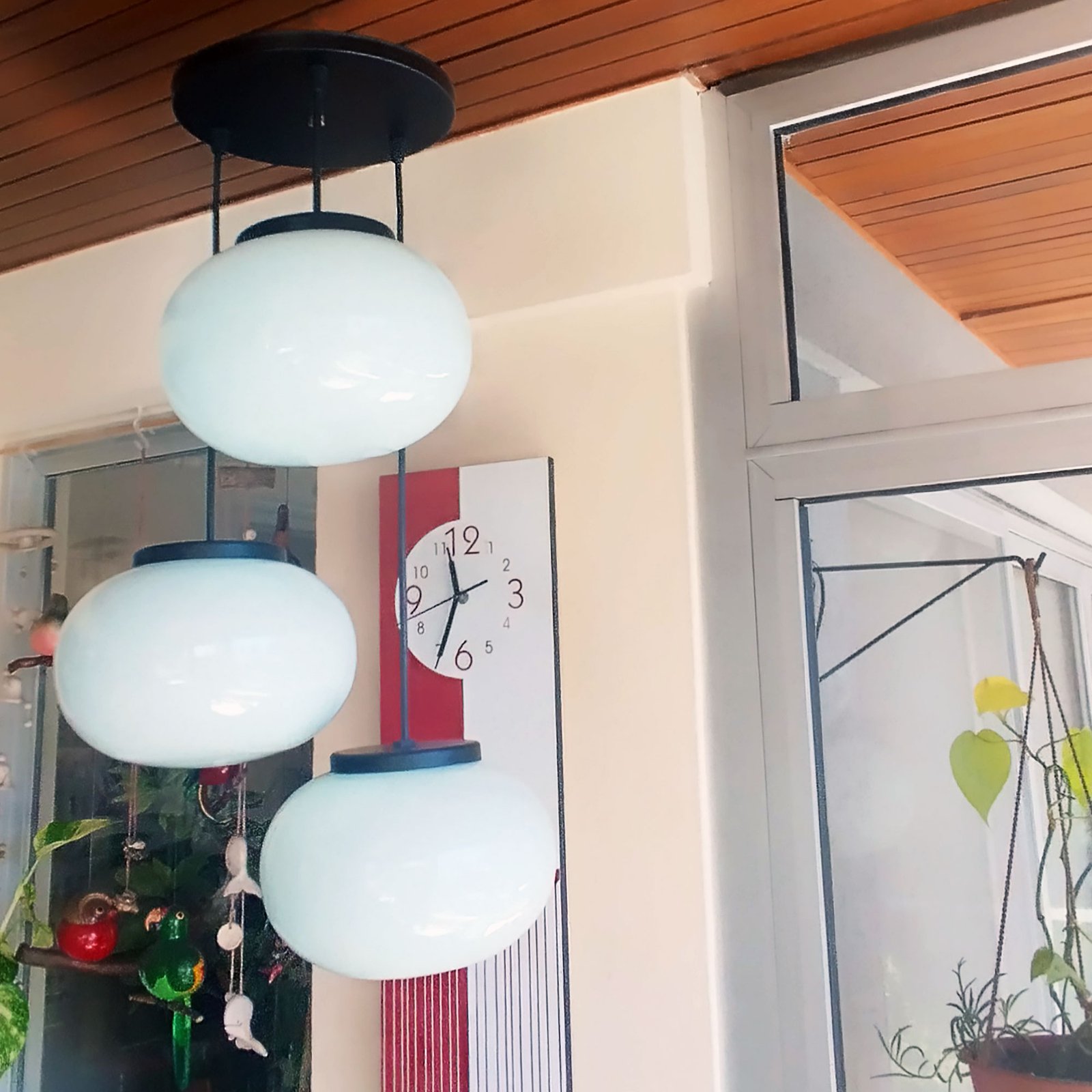 ColganteHonguito3LN4