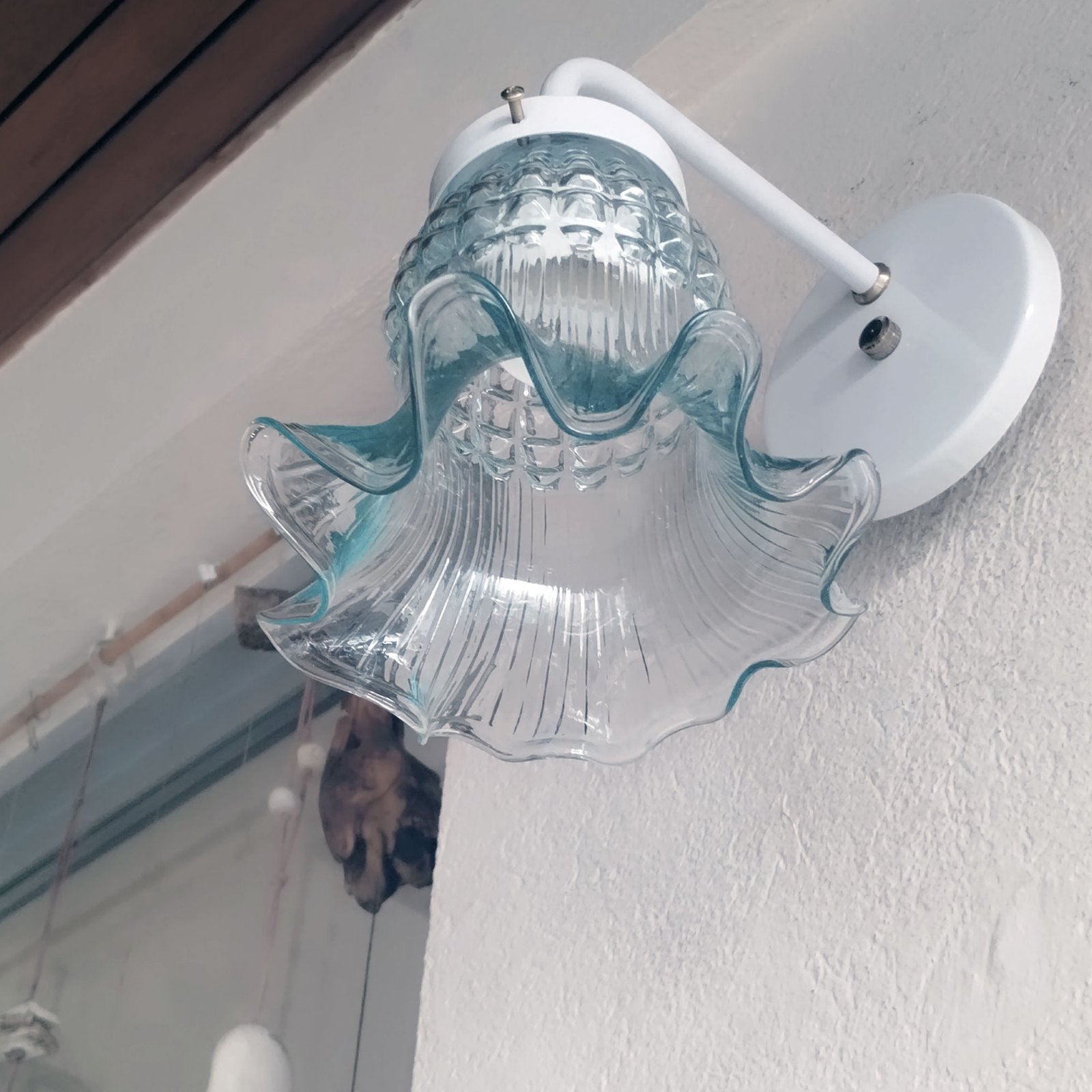 Recto1LBlancoTulipaMaguiTTE