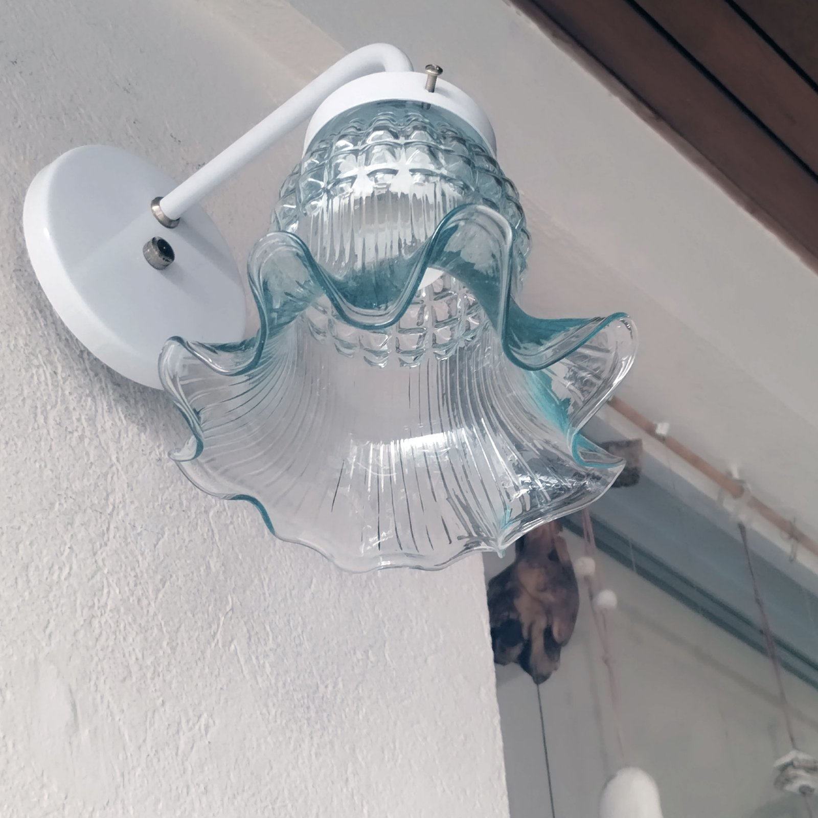 Recto1LBlancoTulipaMaguiTTE1