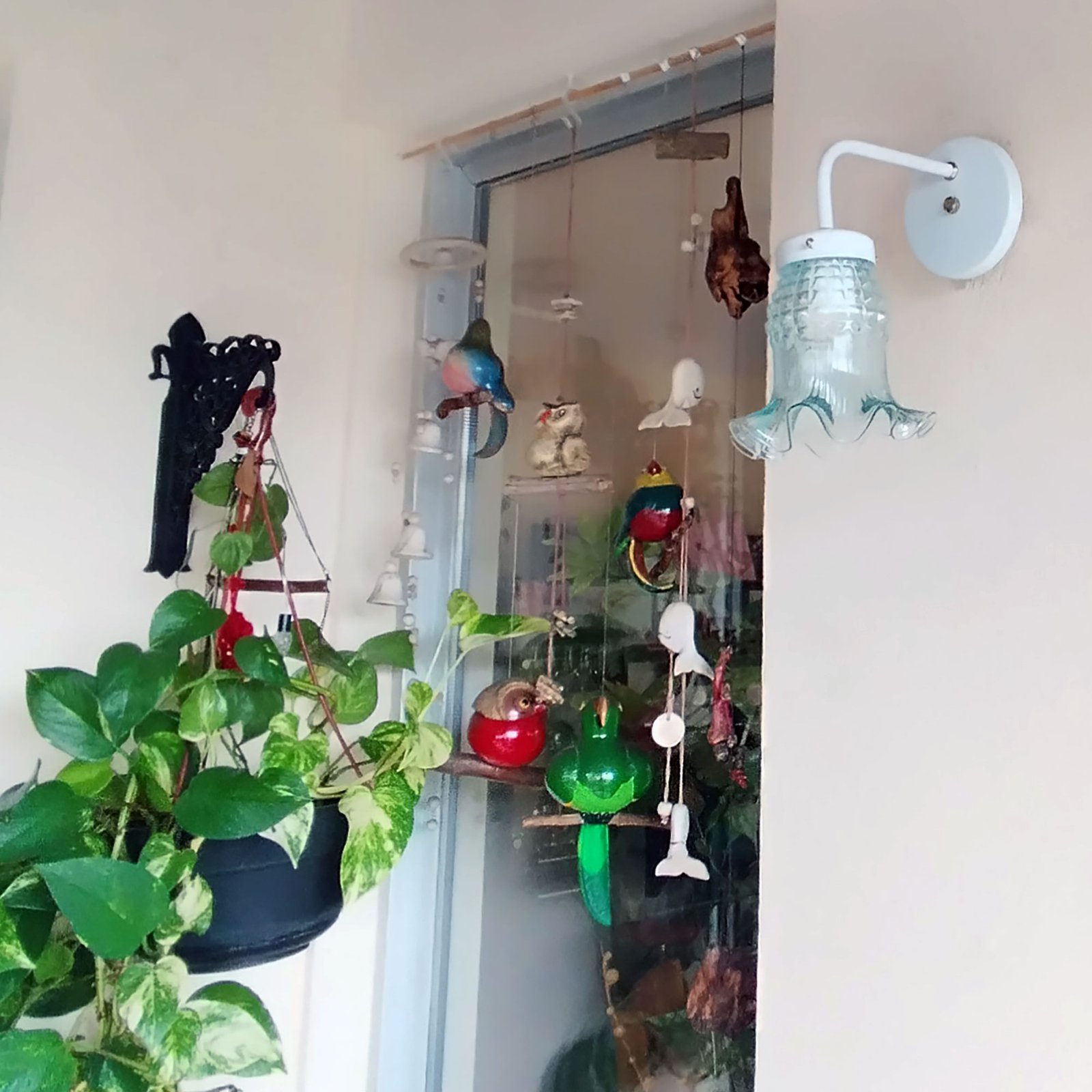 Recto1LBlancoTulipaMaguiTTE2