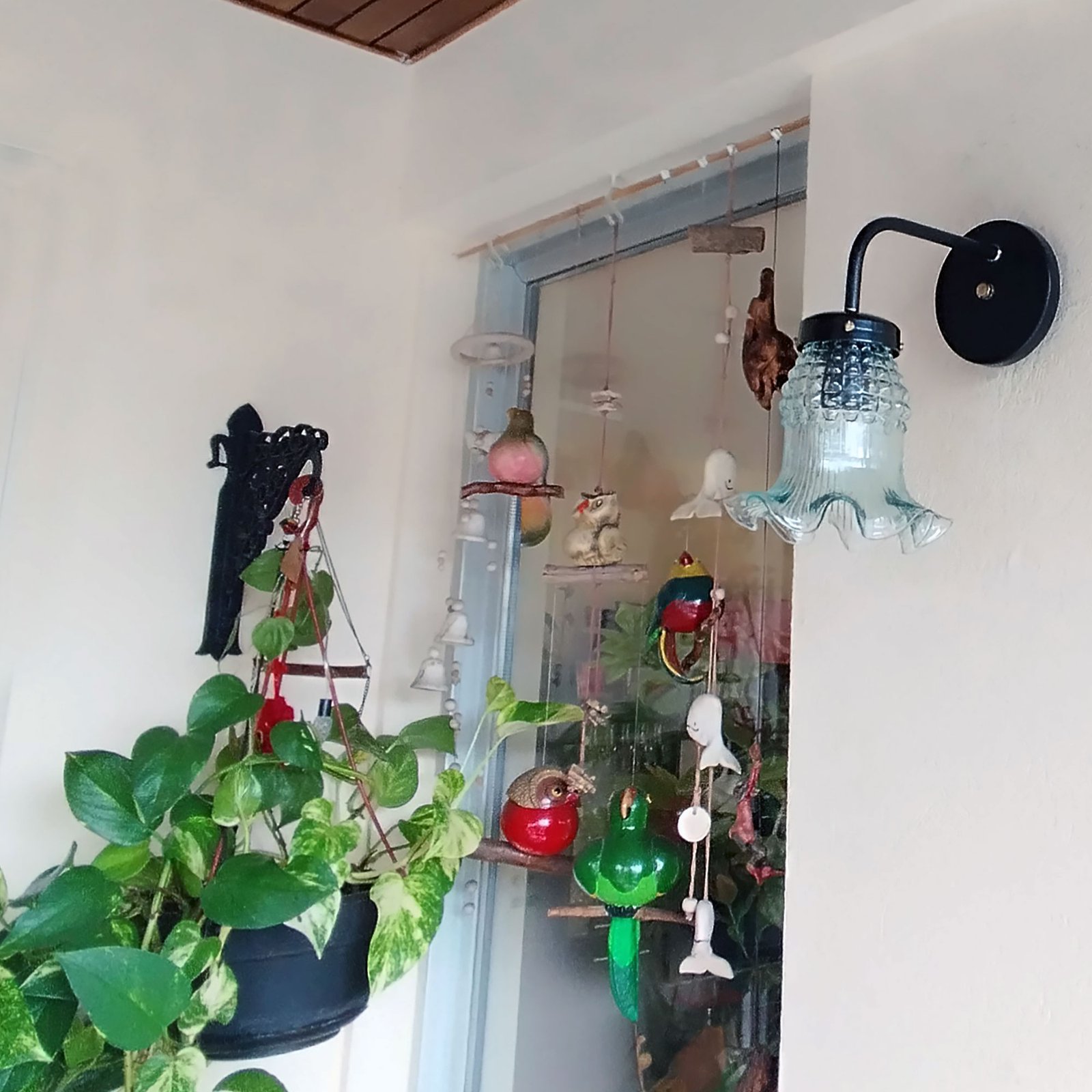 Recto1LNegroTulipaMaguiTTE