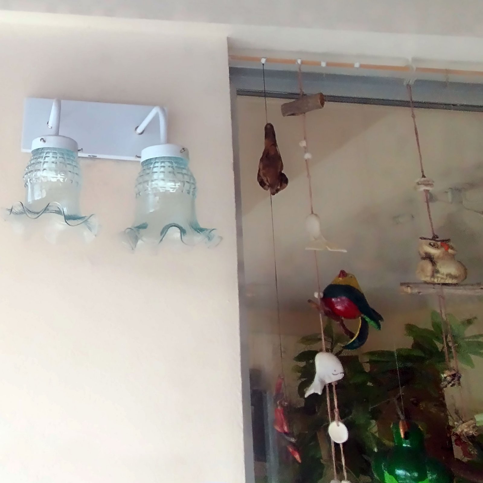 Recto2LTulipaMaguiTTEBlanco2