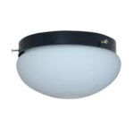 Plafón Chapa Chico 1 Luz Vidrio Boina Opal Satinado Apto Led - E27