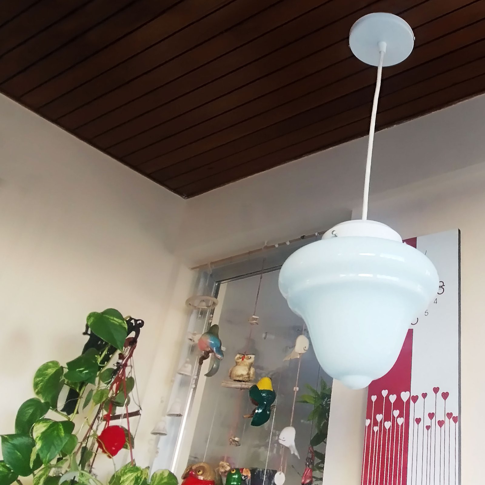 ColganteTrompo2OPAL1LuzB2