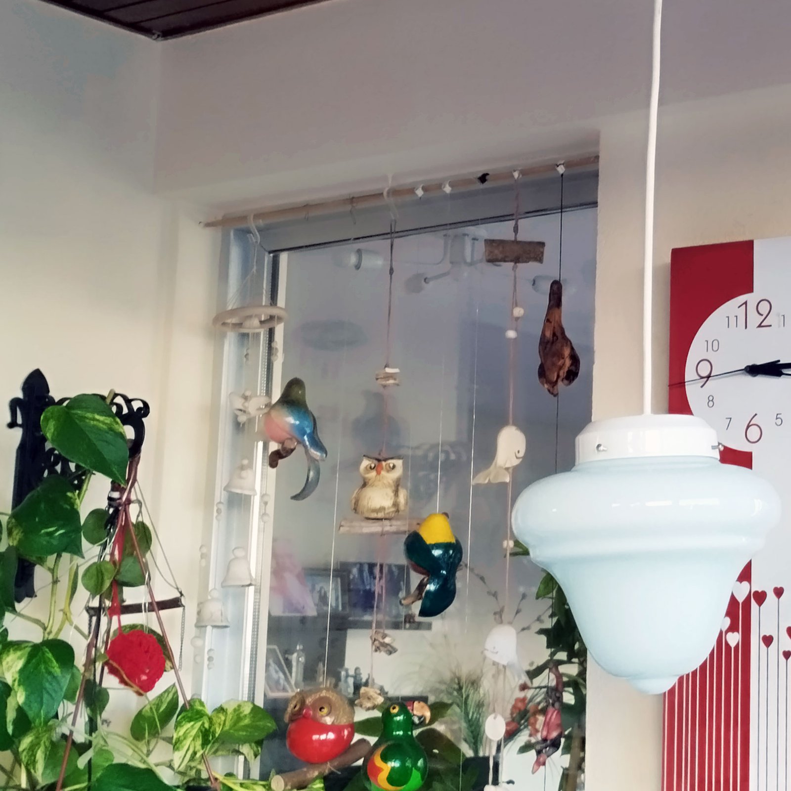 ColganteTrompo2OPAL1LuzB5