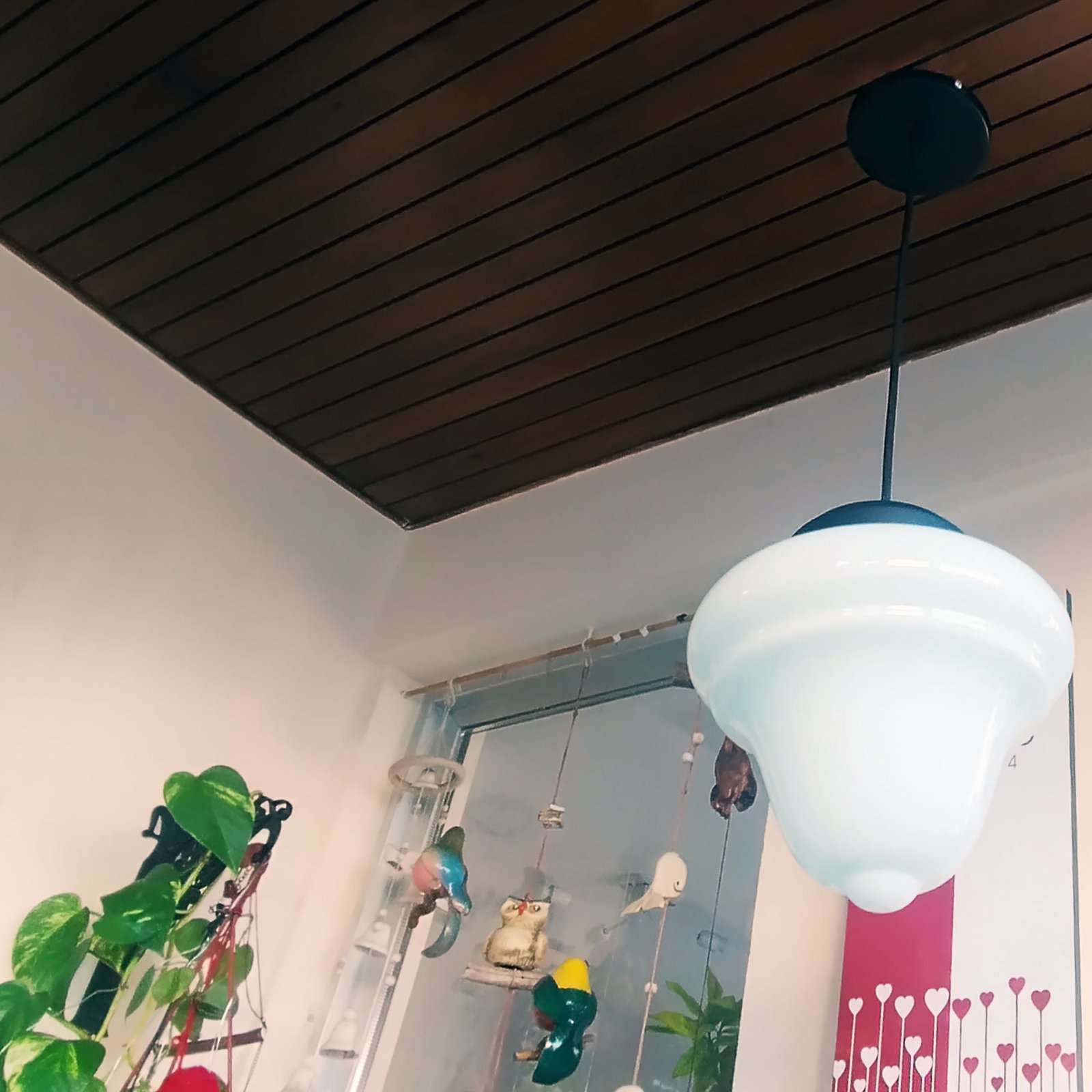 ColganteTrompo2OPAL1LuzN