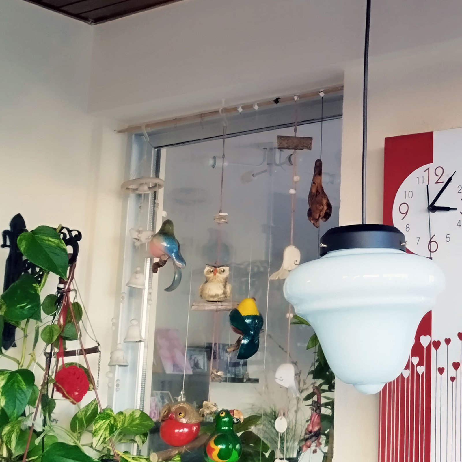 ColganteTrompo2OPAL1LuzN3