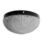 Plafón Chapa Grande 2 Luces Vidrio Ananá Opal Apto Led - E27