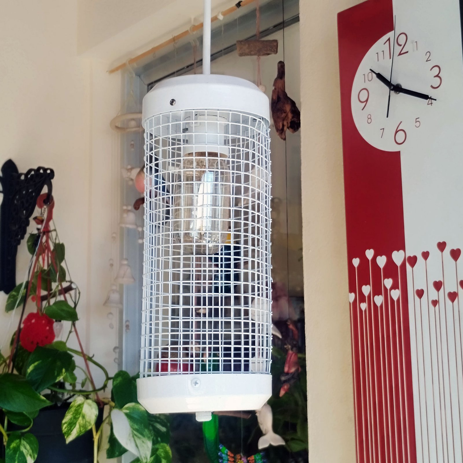 1b-ColganteTubularRejaB