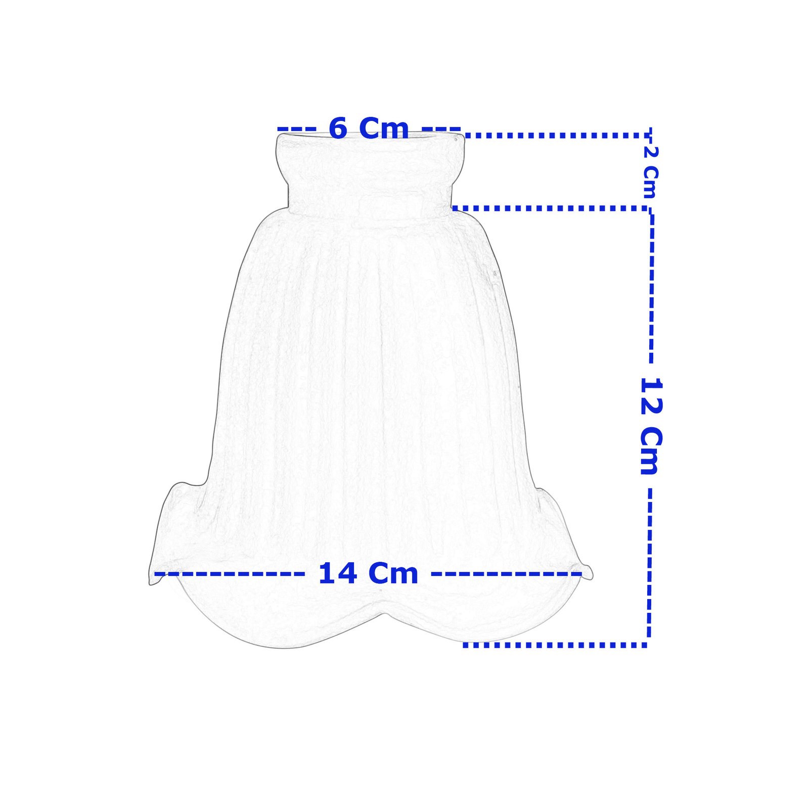 TulipaEspañolaMedidas