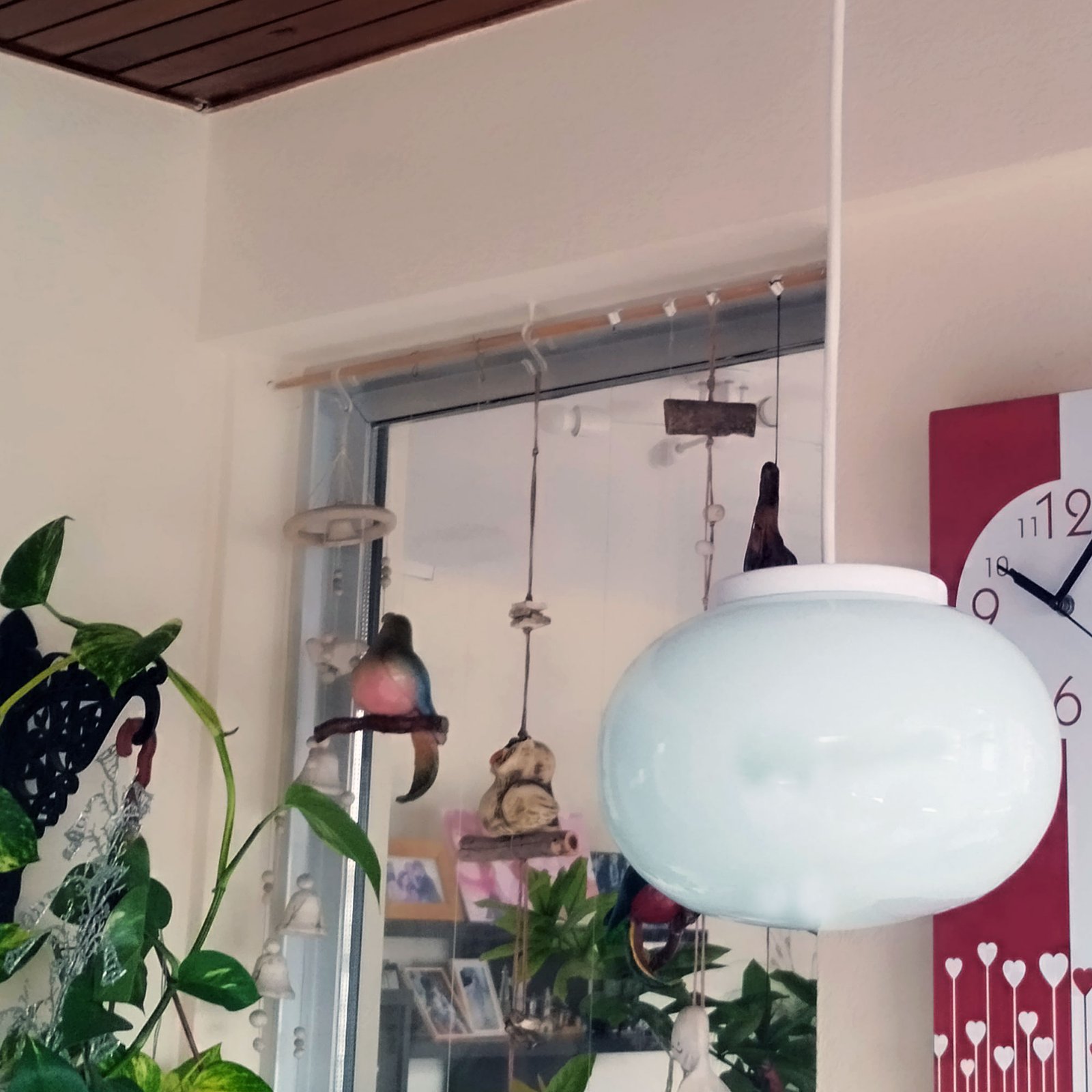 ColganteHonguito1LB3