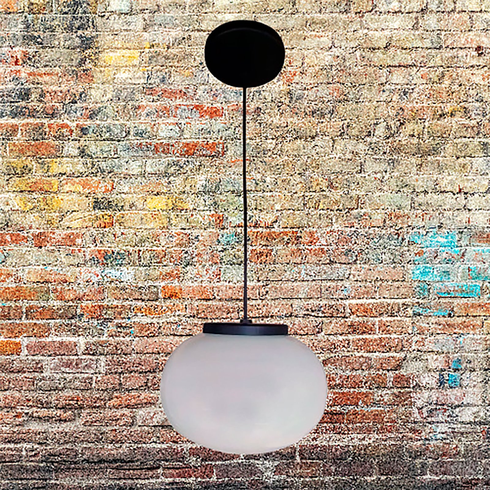 ColganteHonguito1LN5