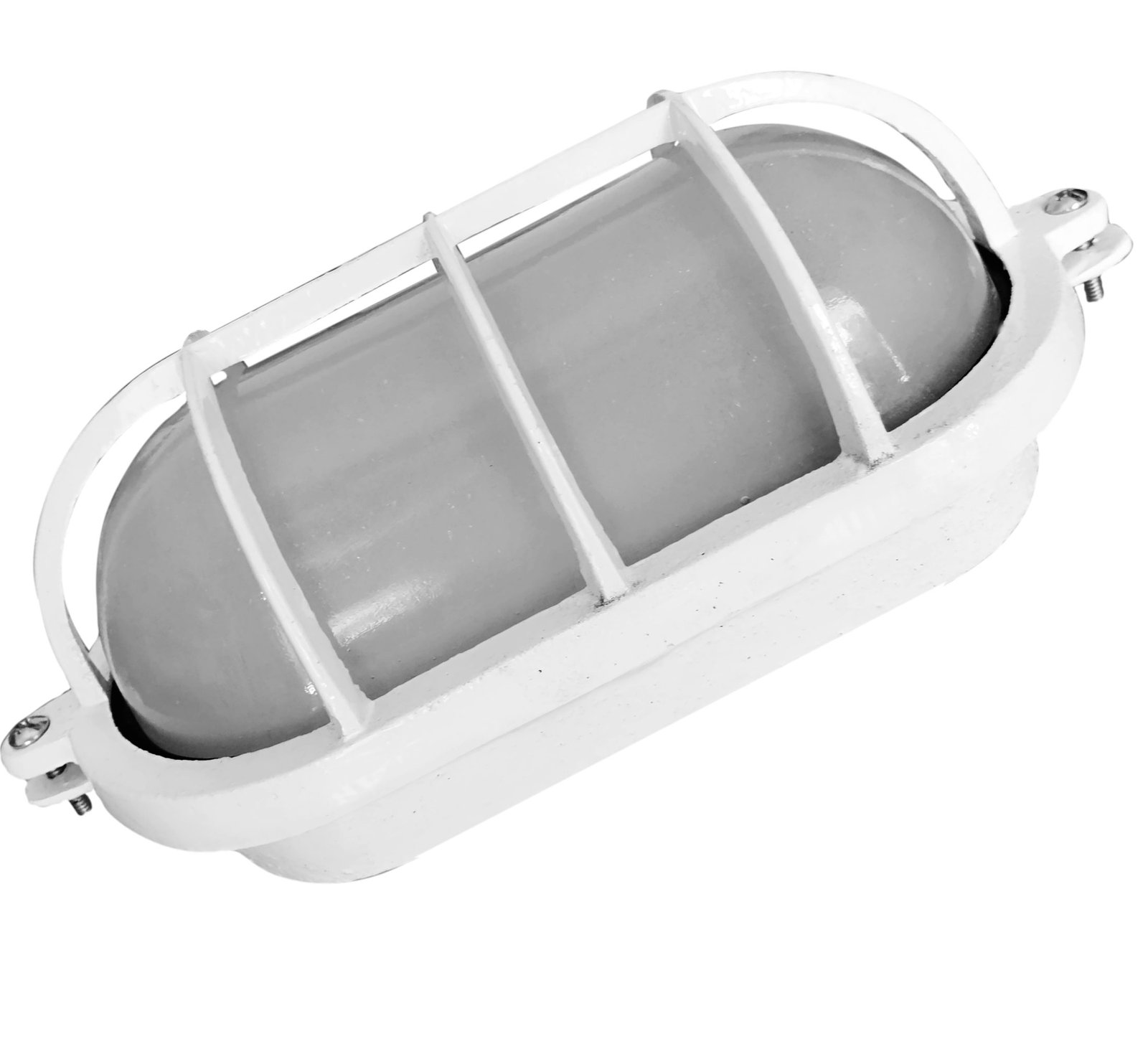 TortugaOvalGdeVSat-Blanca