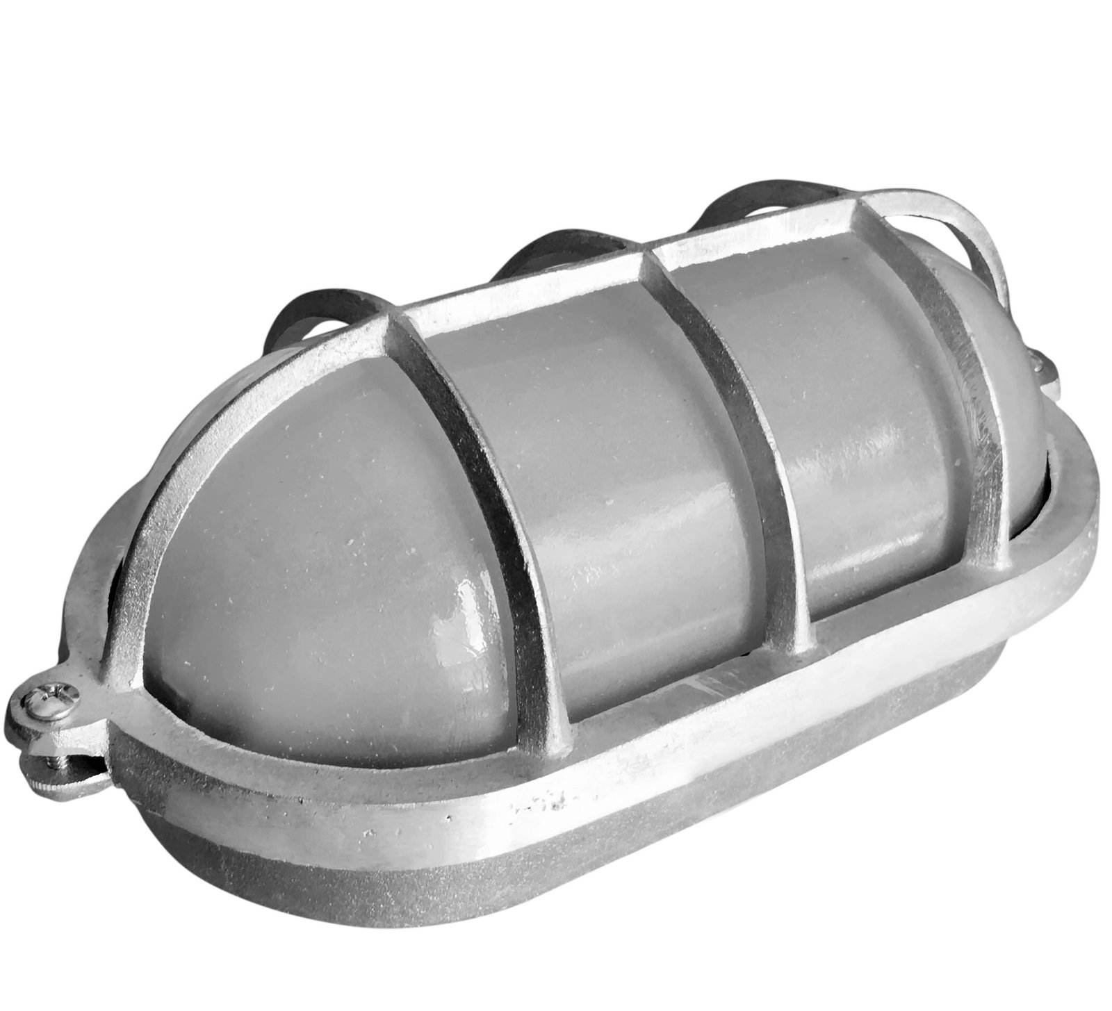 TortugaOvalGdeVSat-Cruda