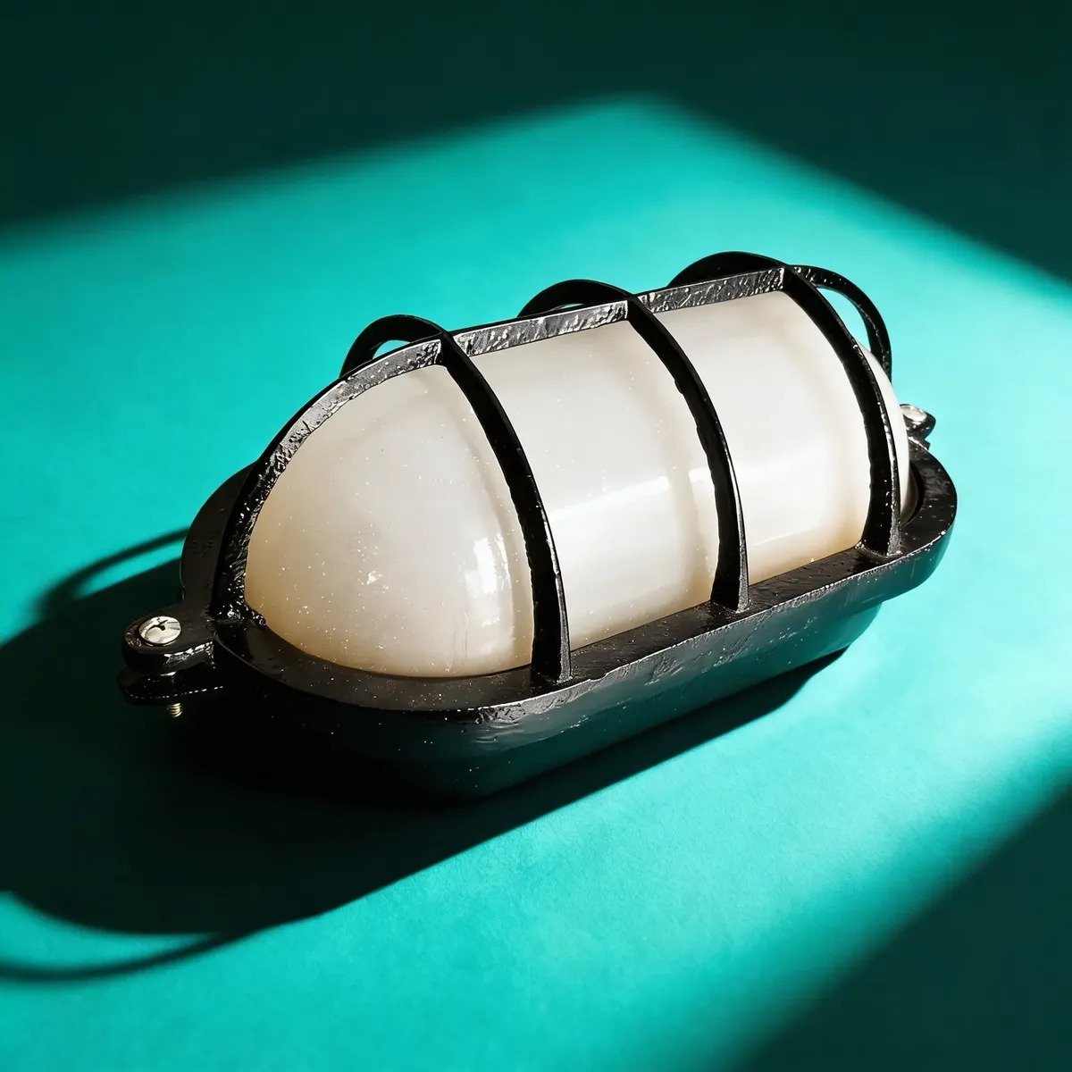 TortugaOvalGdeVSat-Negra-IA3